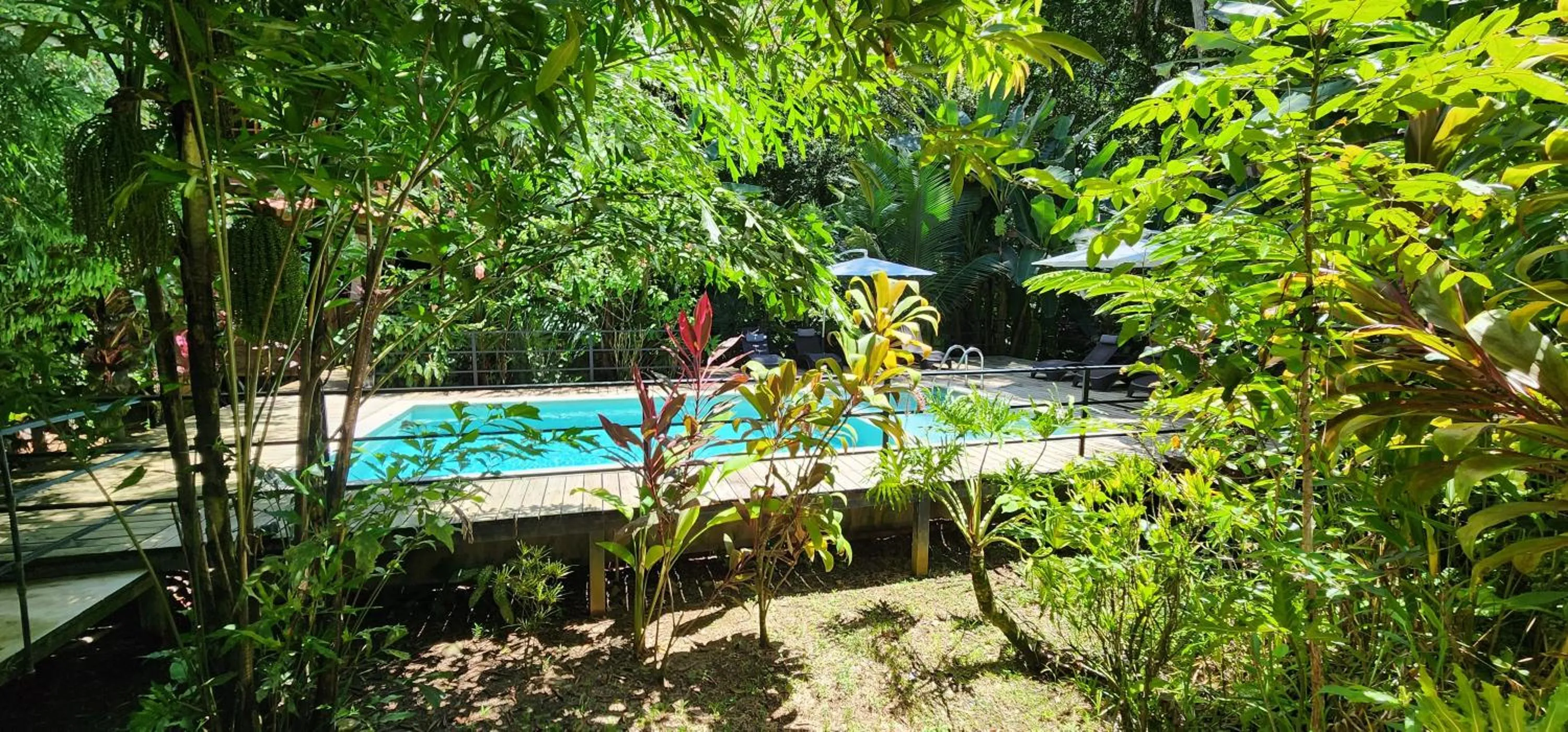 Pool view in Boutique Hotel y Spa Tangara Azul