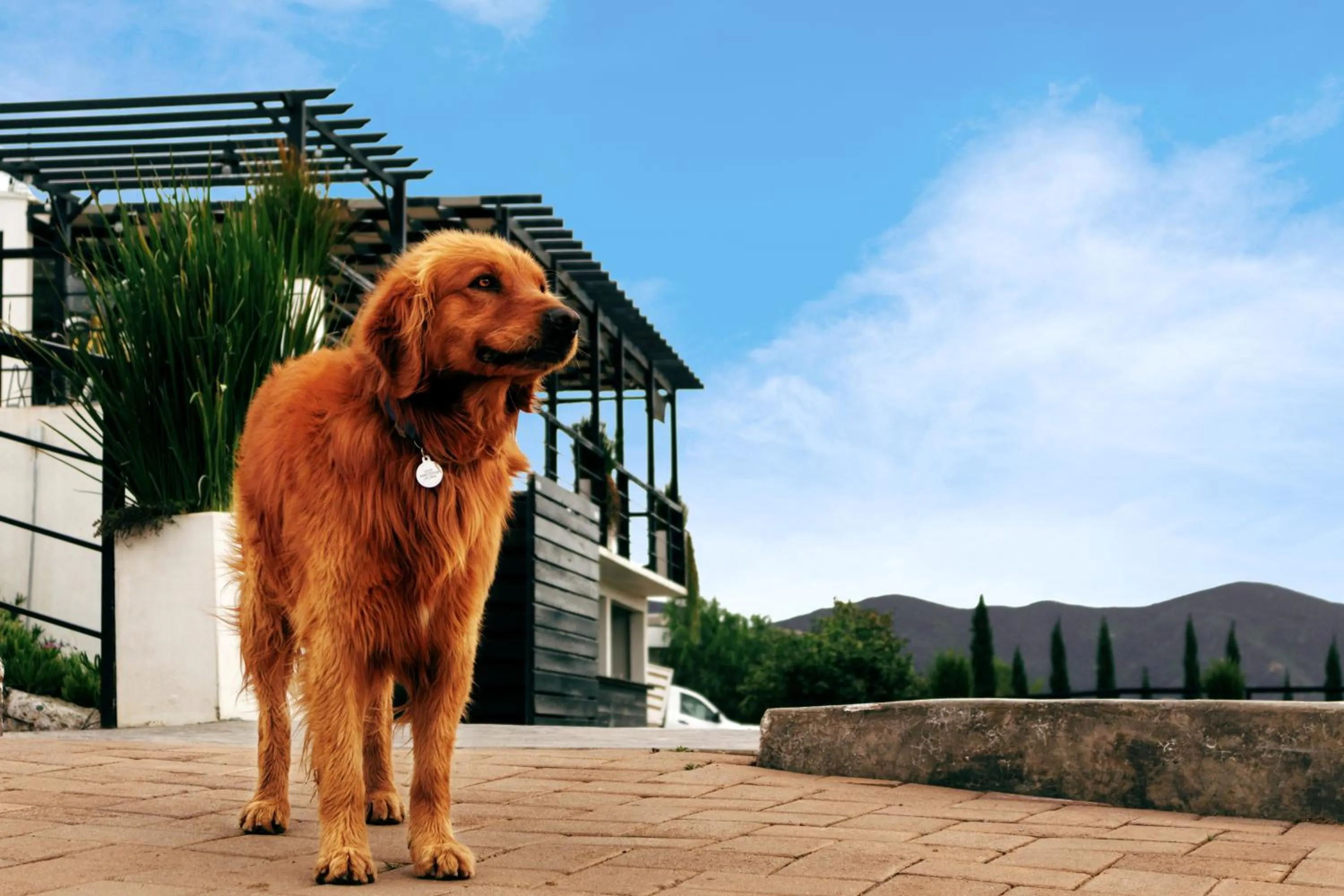 Communal lounge/ TV room in La Cima del Valle