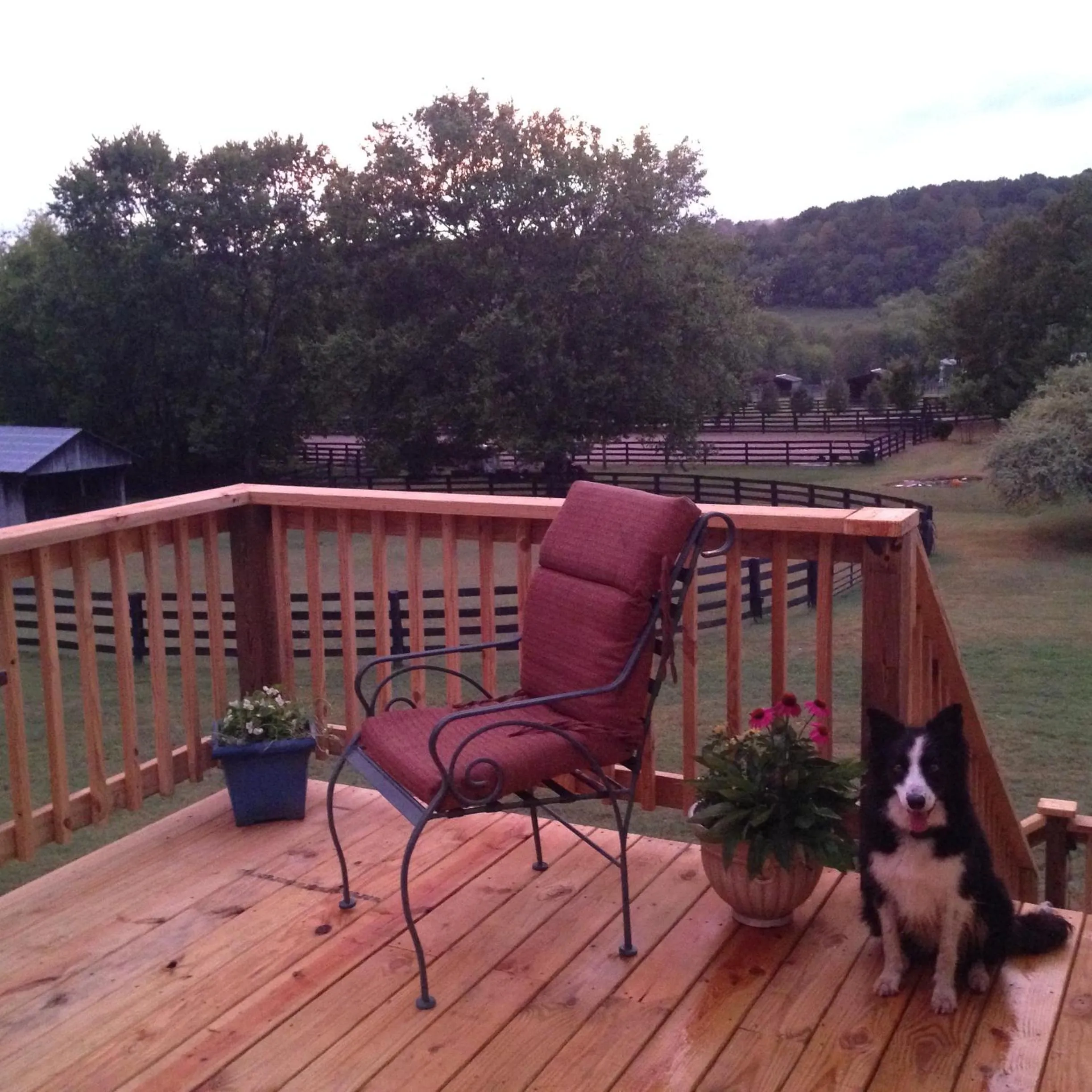 Day in Full Circle Farm Inn