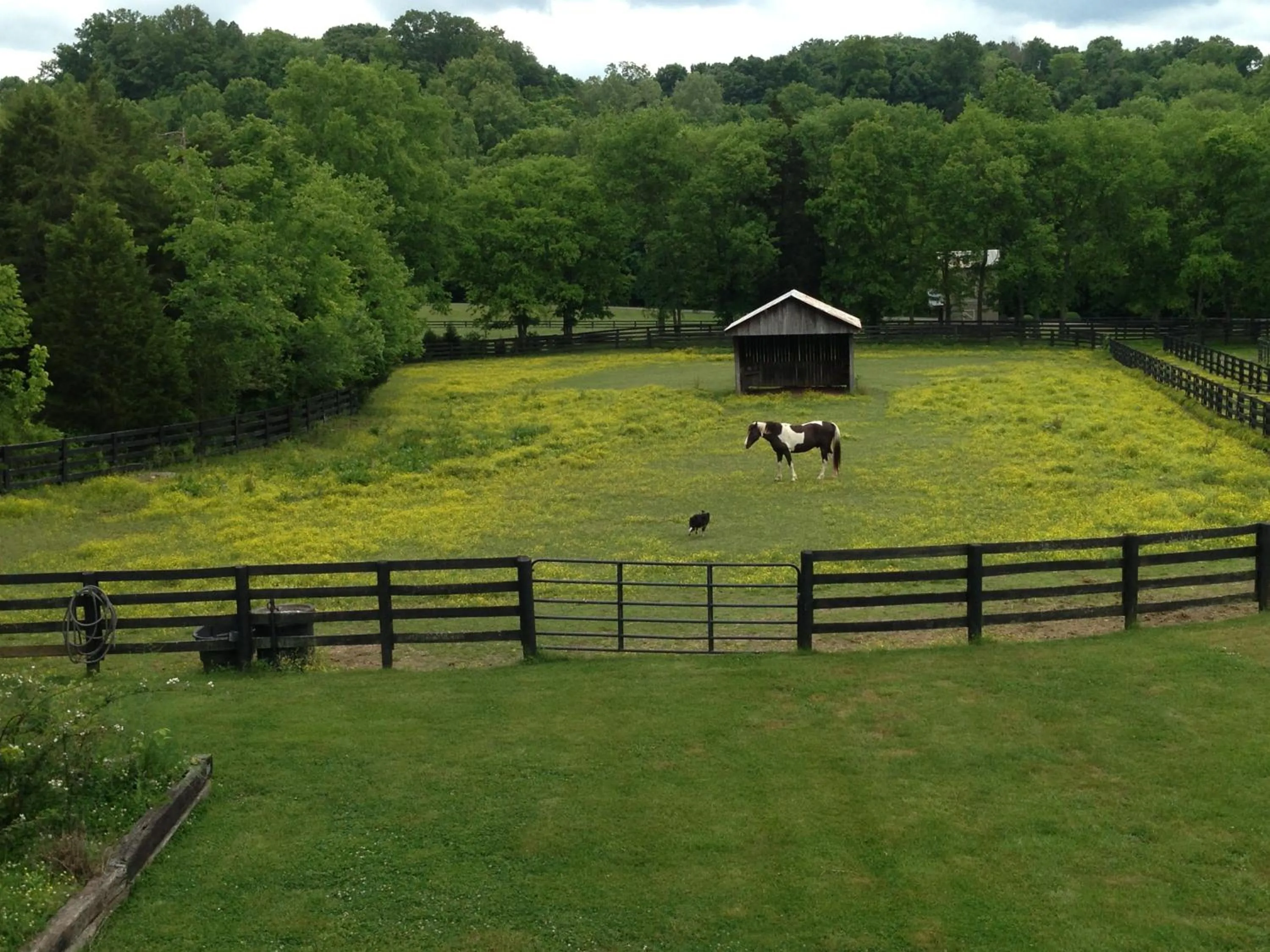 Bird's eye view in Full Circle Farm Inn