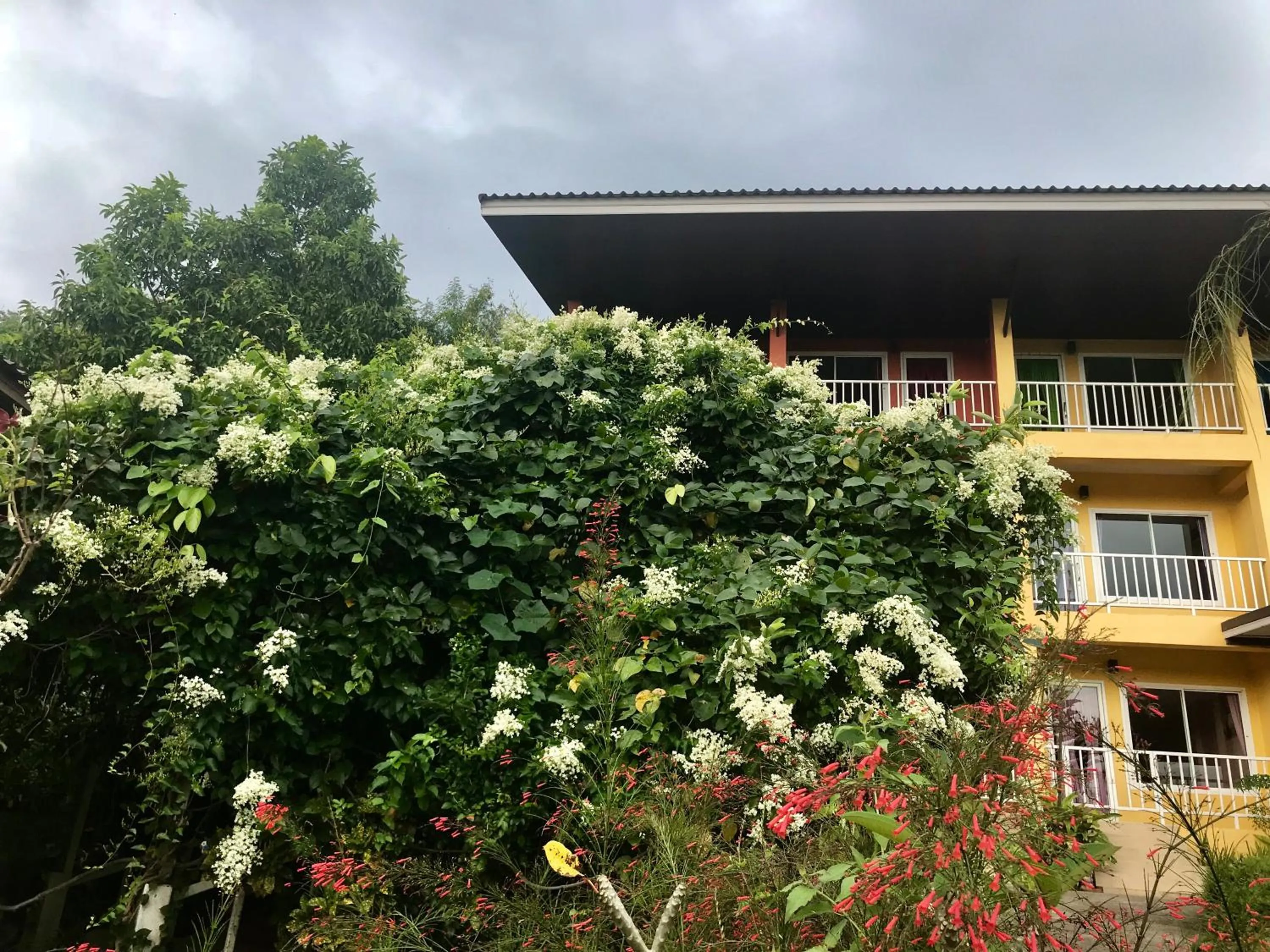 Baan Suan Rojjana