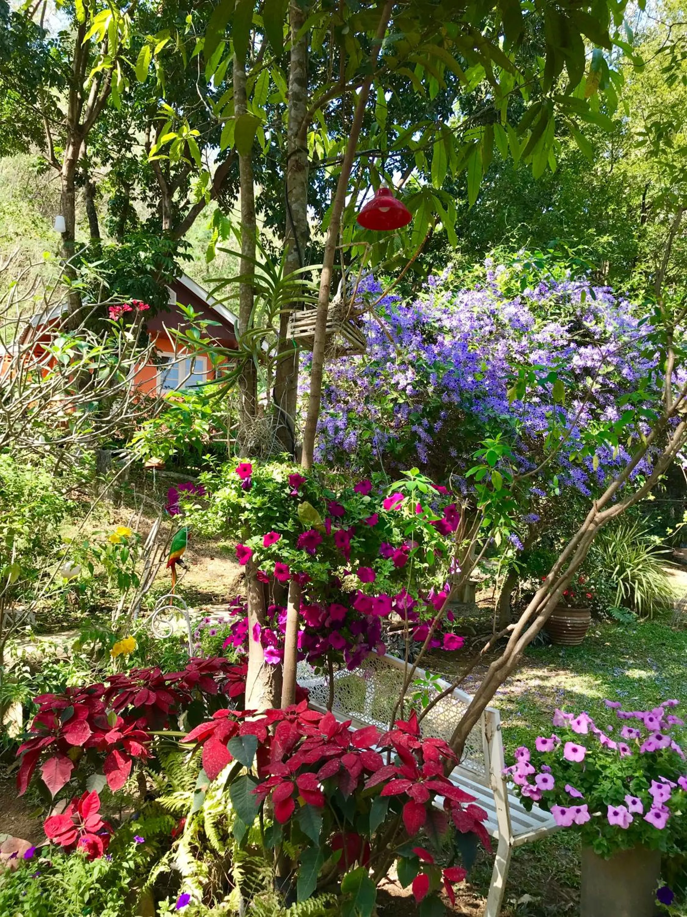 Baan Suan Rojjana