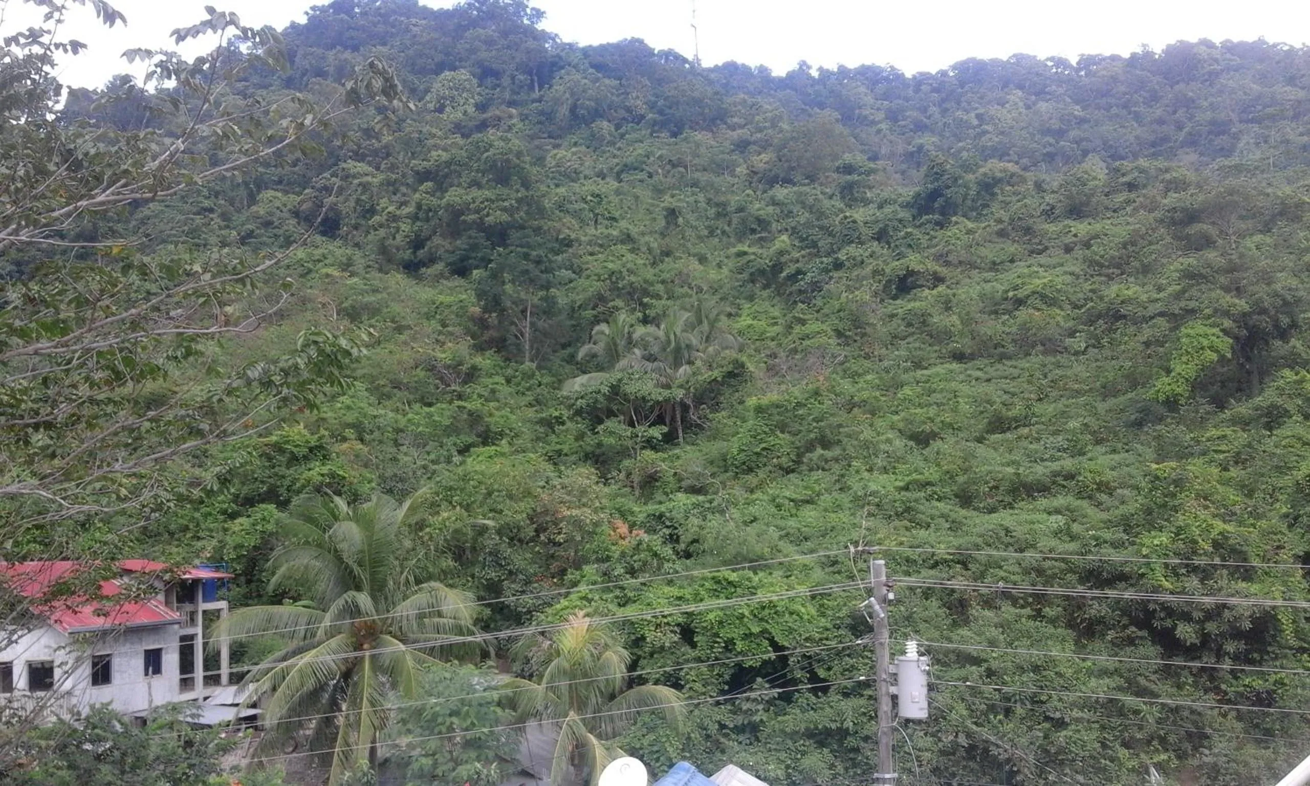 Mountain view in Just Inn