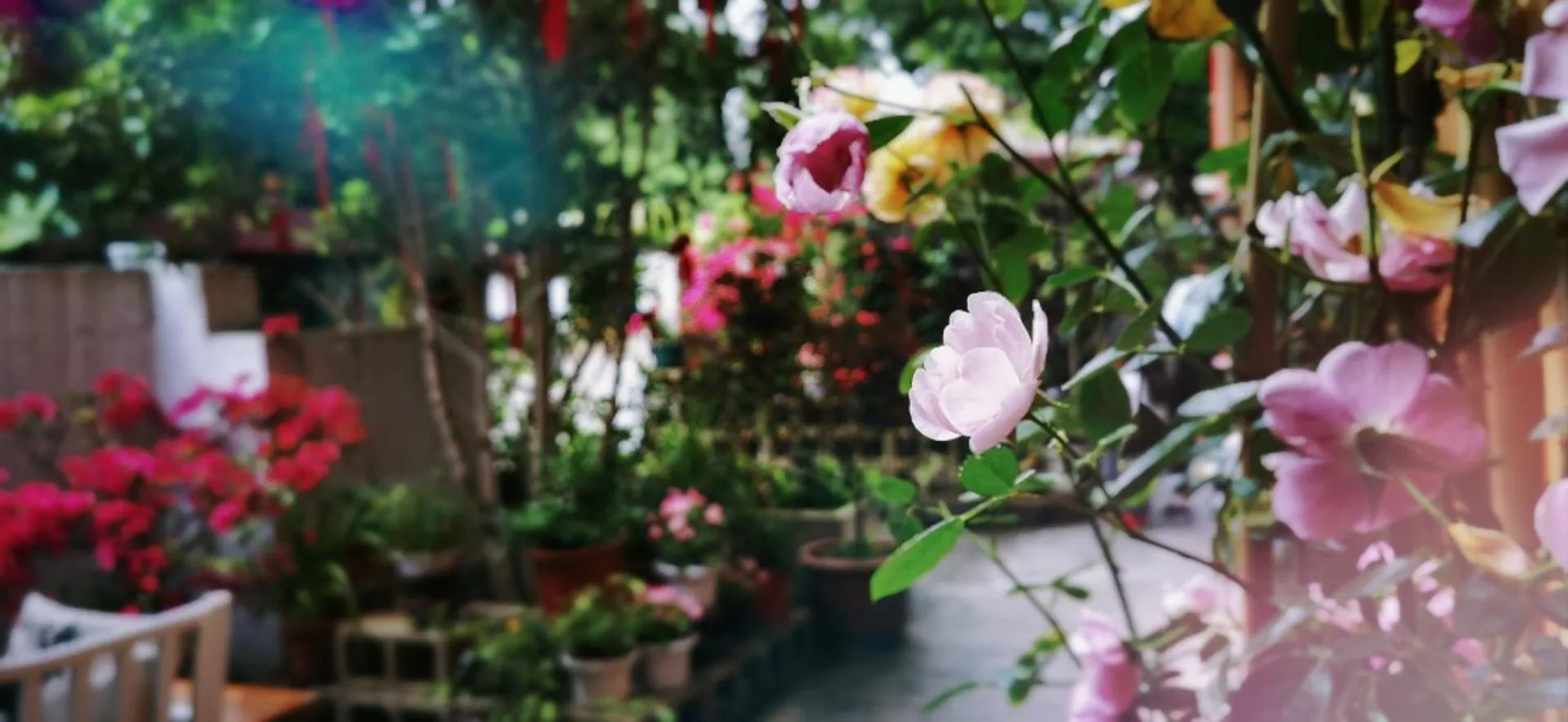 Ancient Street No.5 Youth Chic Hotel