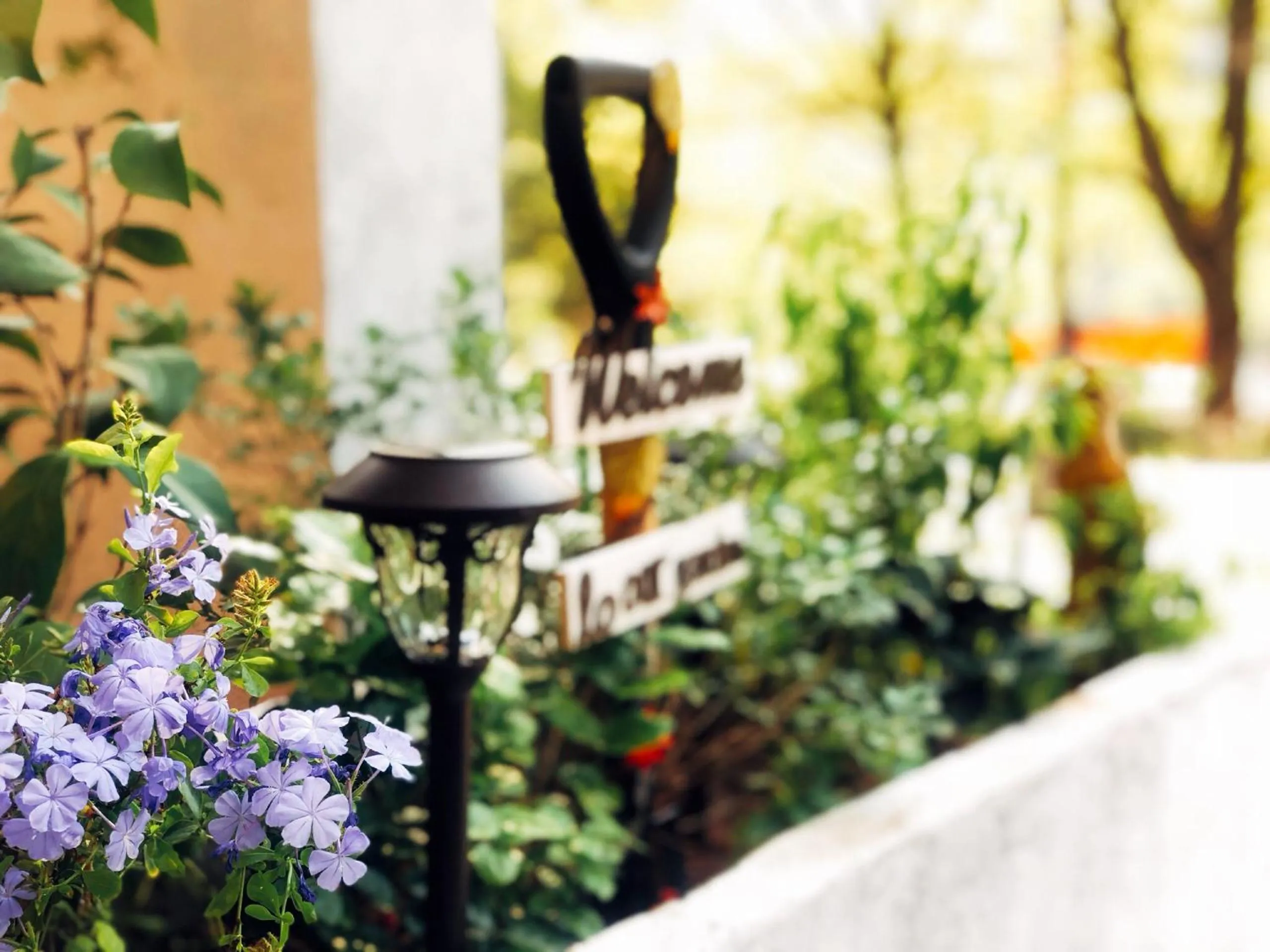 Garden in Ancient Street No.5 Youth Chic Hotel