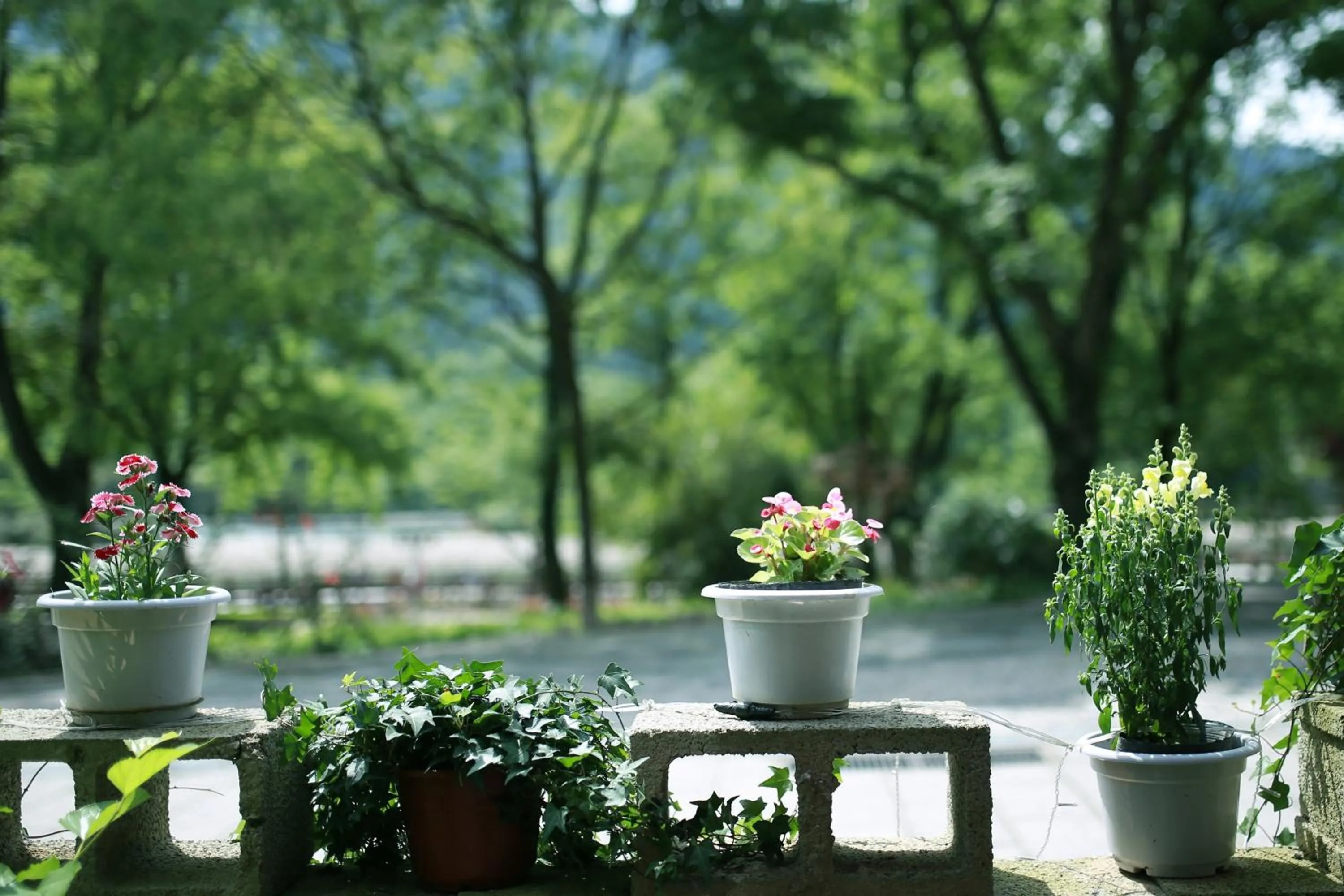 Ancient Street No.5 Youth Chic Hotel