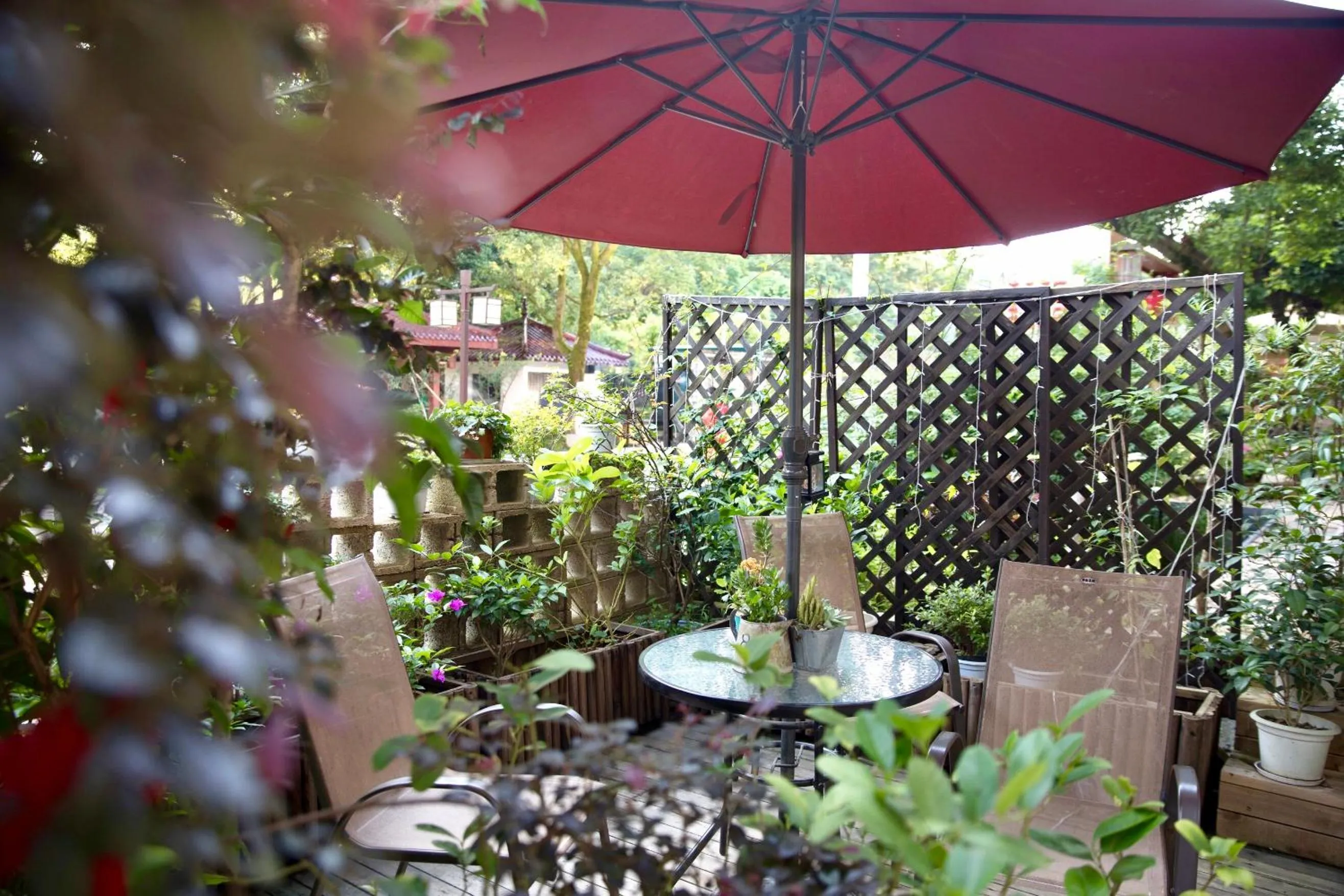 Garden in Ancient Street No.5 Youth Chic Hotel