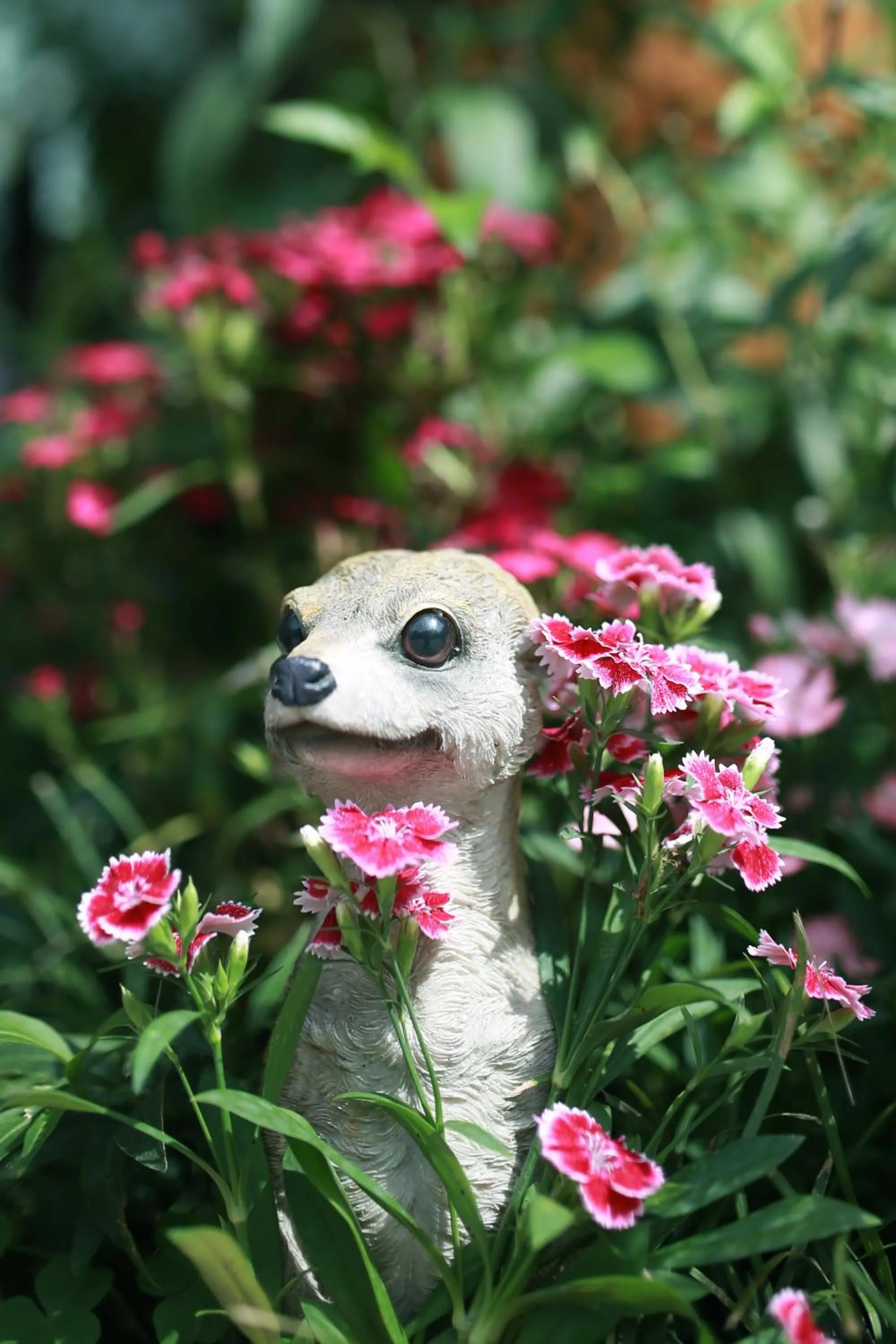 Garden in Ancient Street No.5 Youth Chic Hotel
