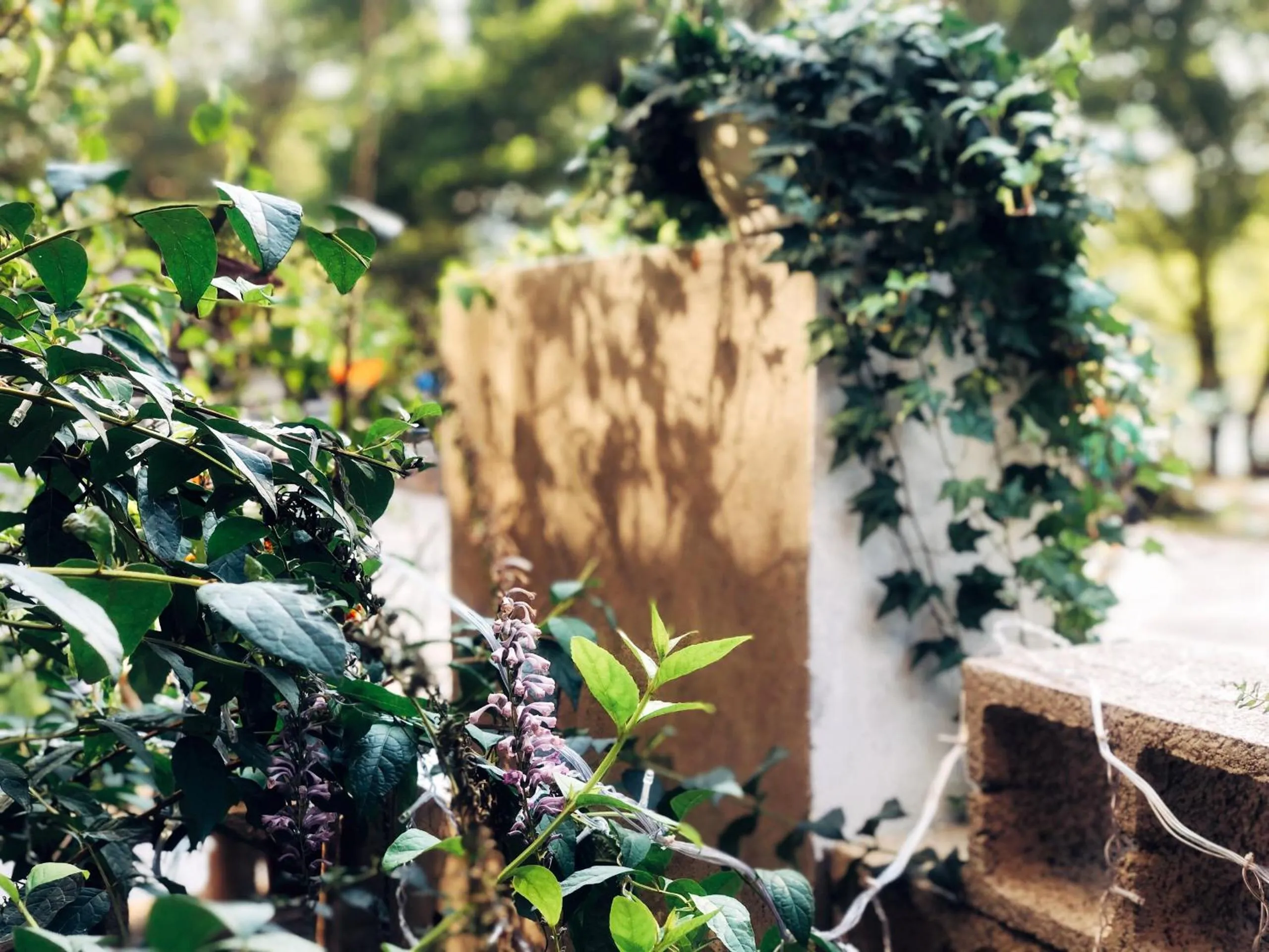 Garden in Ancient Street No.5 Youth Chic Hotel