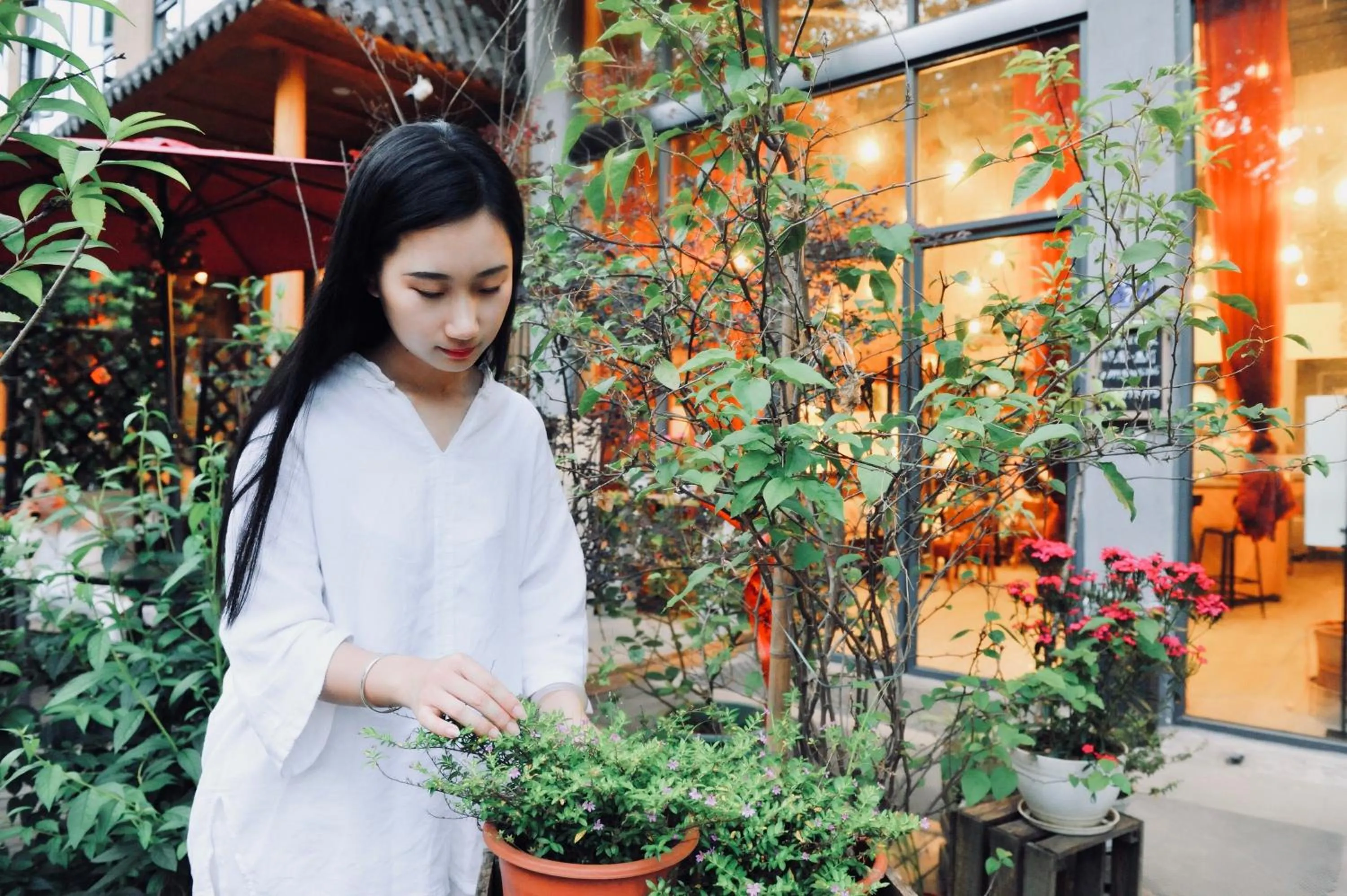 Garden in Ancient Street No.5 Youth Chic Hotel