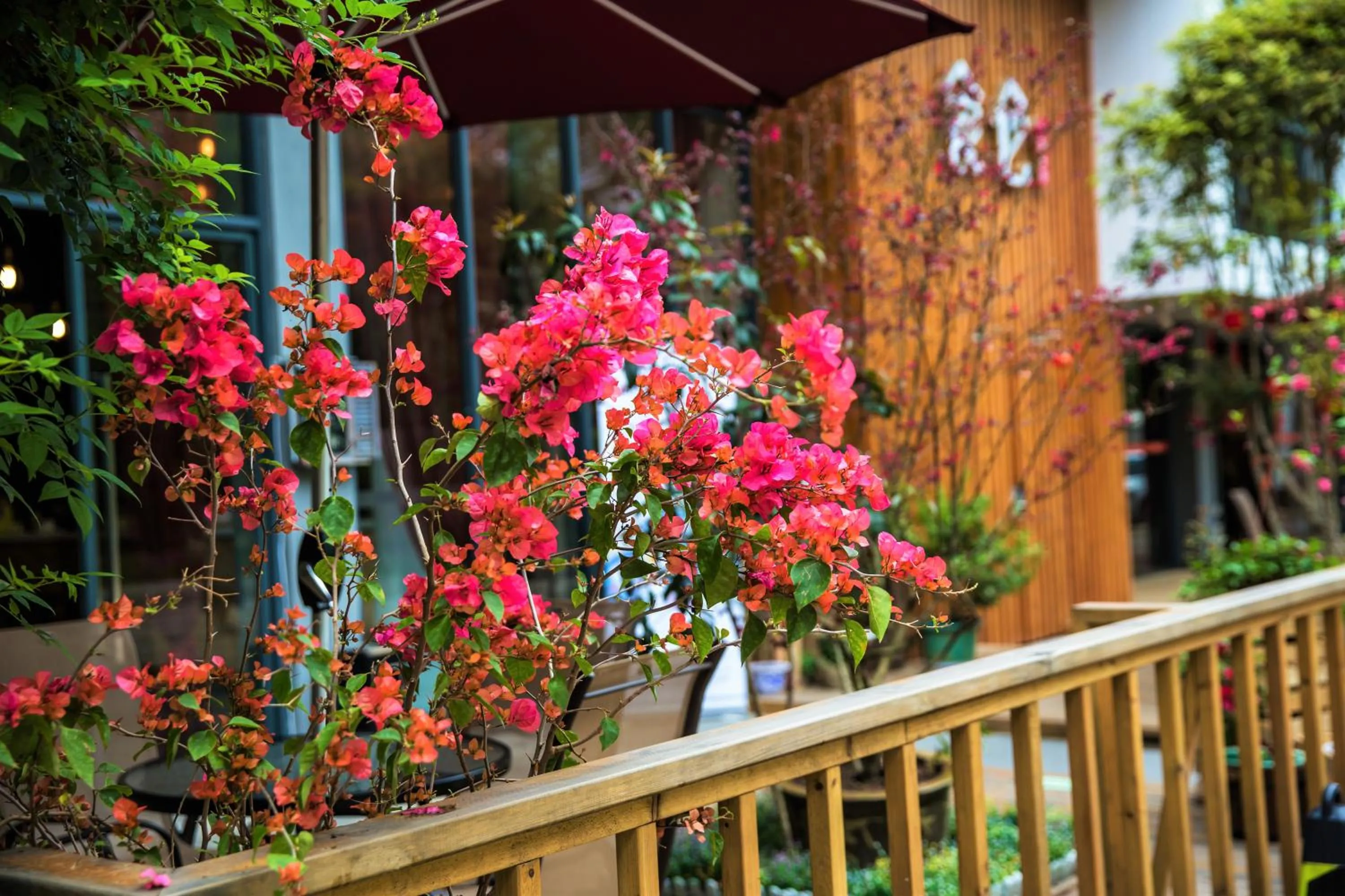 Garden in Ancient Street No.5 Youth Chic Hotel