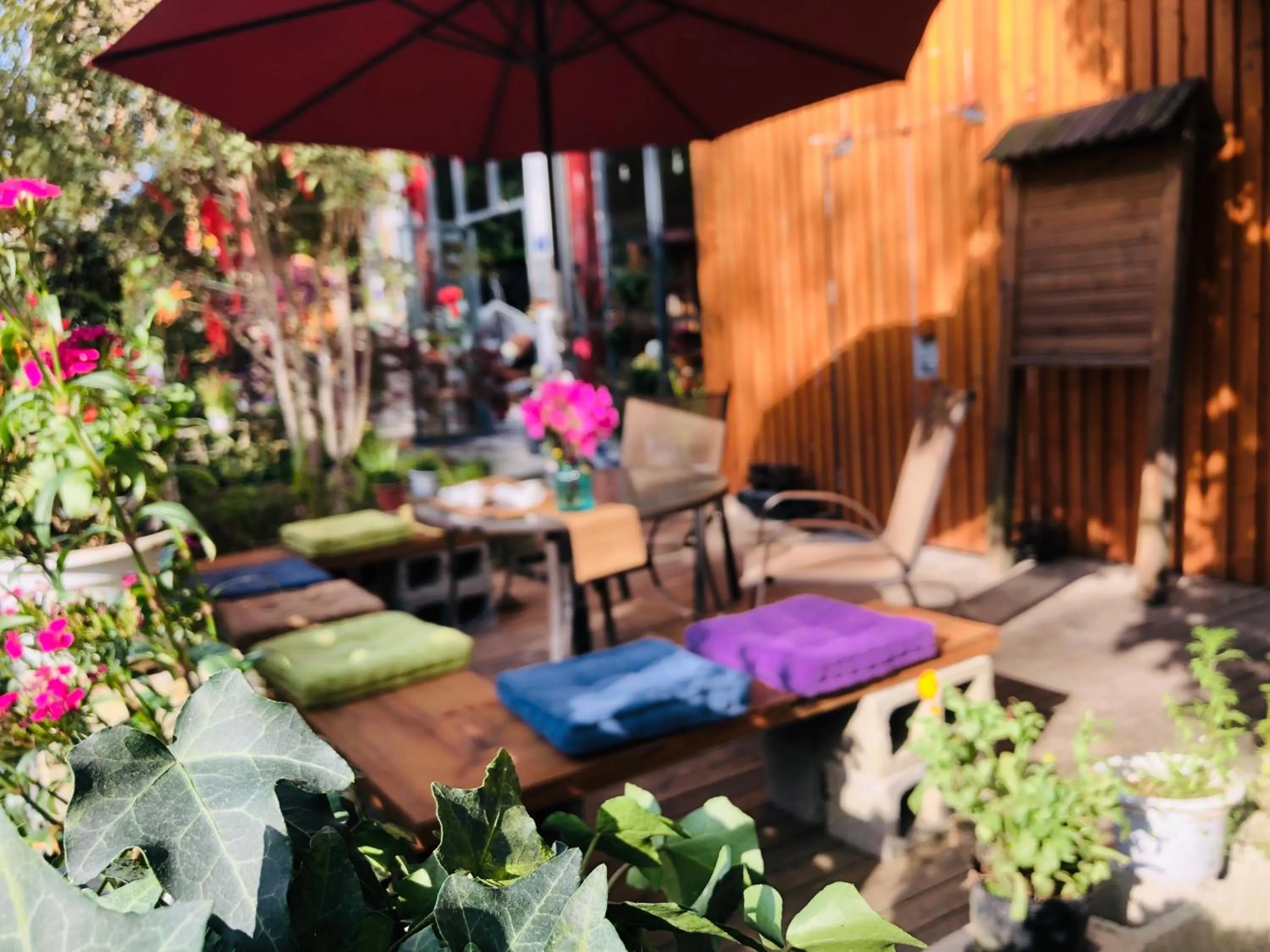 Garden in Ancient Street No.5 Youth Chic Hotel