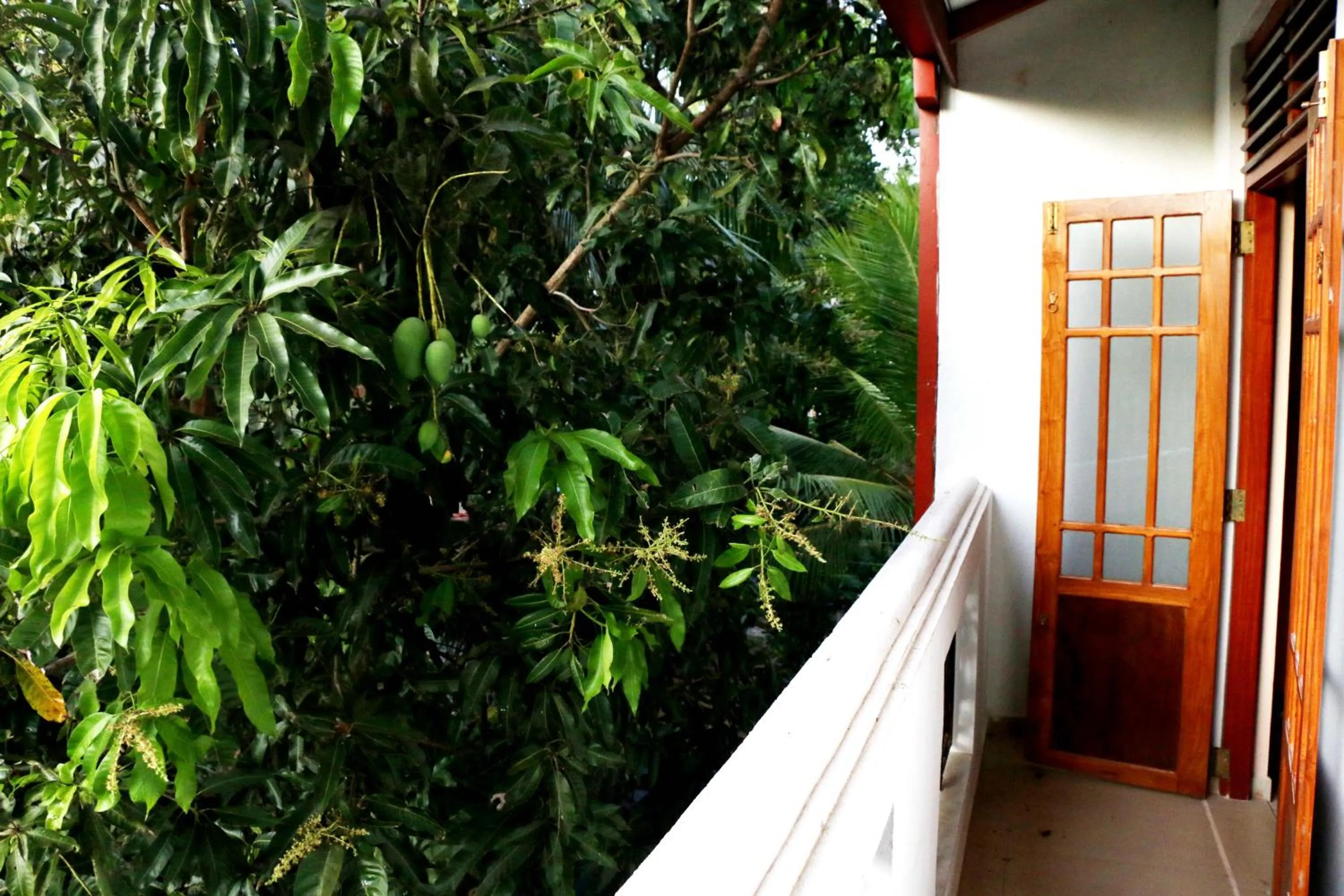 Property building in The Cool Nest Yala Hotel