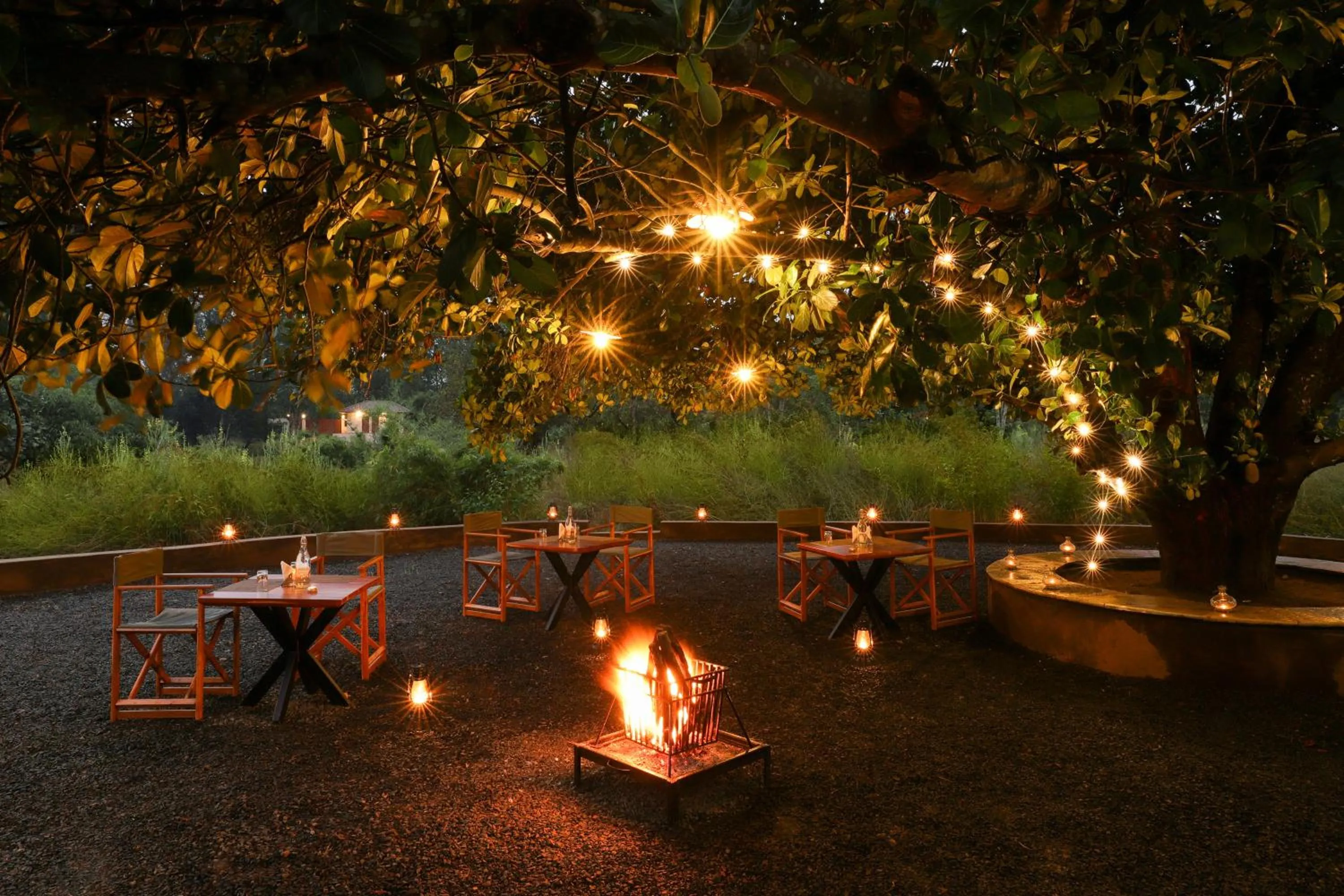 Dinner in Lemon Tree Wildlife Resort, Kanha