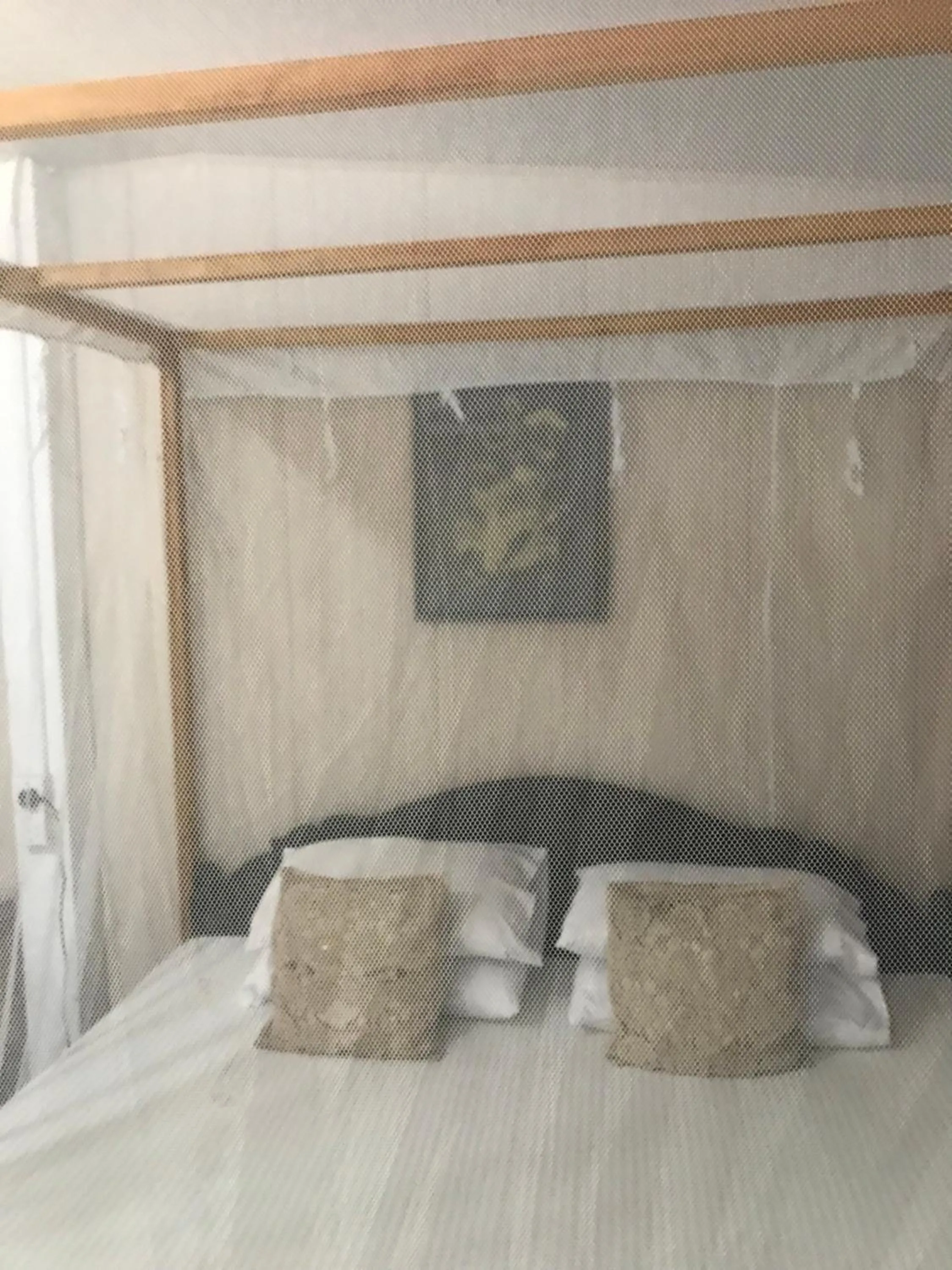 Bed in Salt Bay Kite and Dive Resort