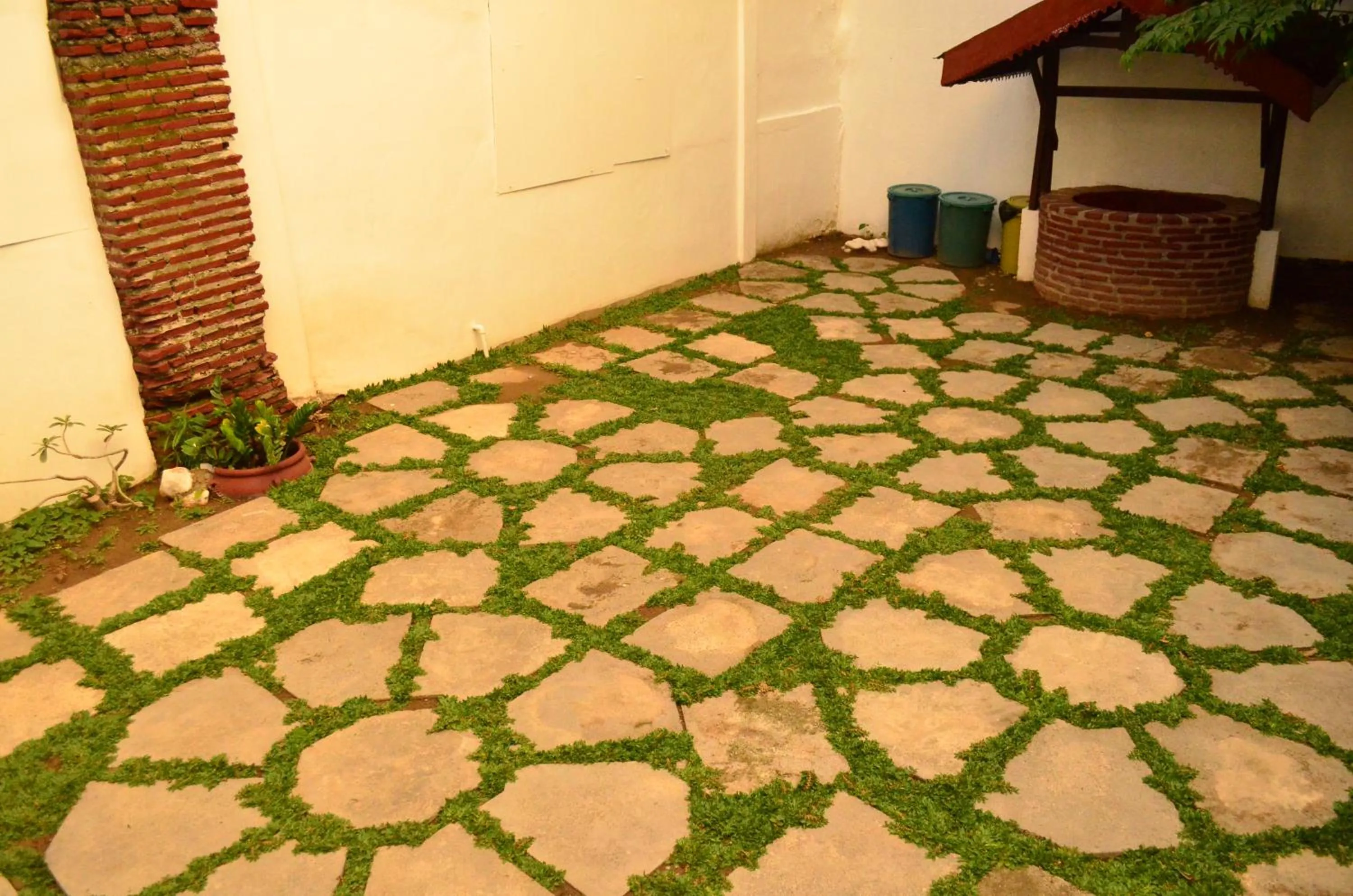 Day in Escolta's Homey Lodge