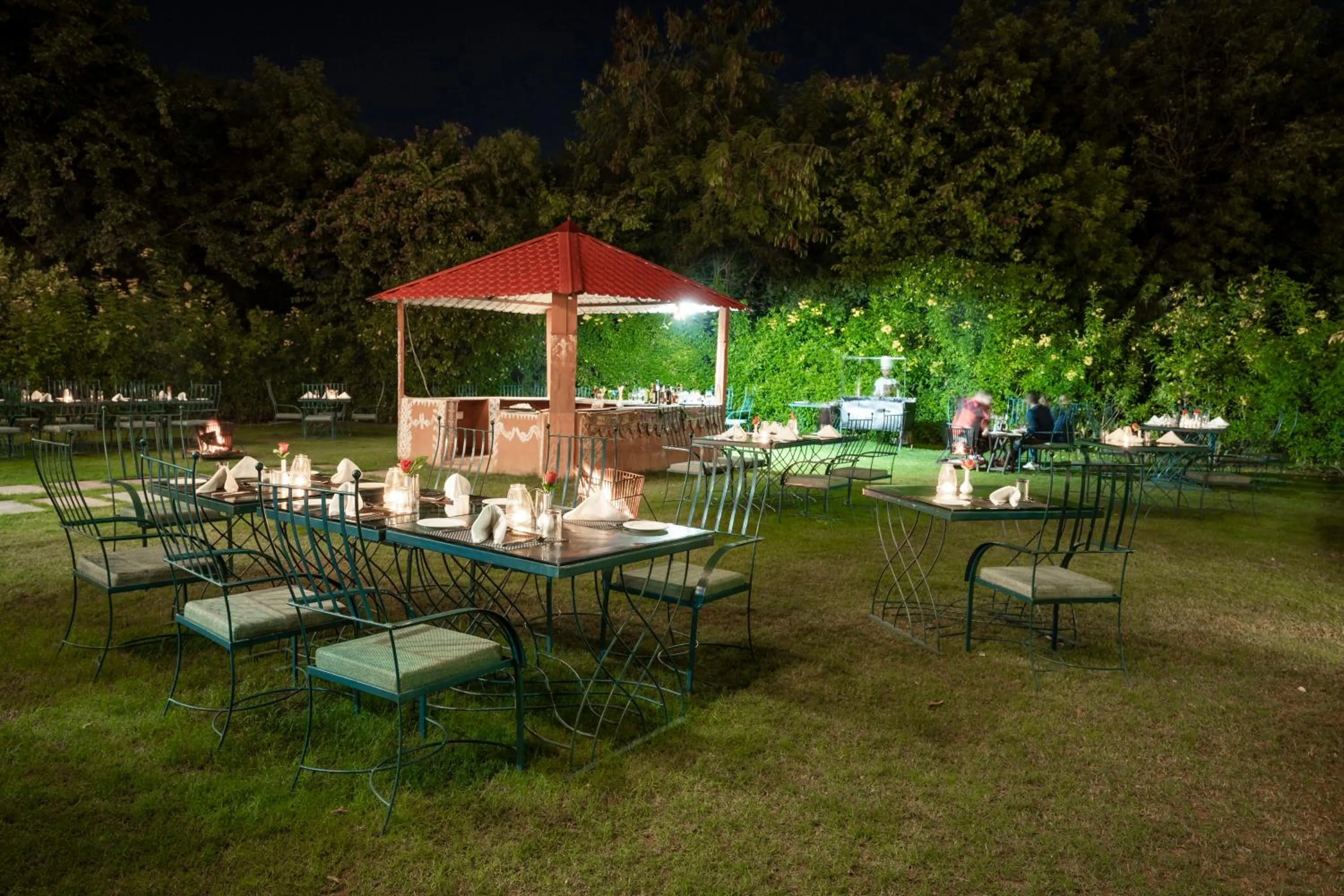 Night in Jungle Vilas