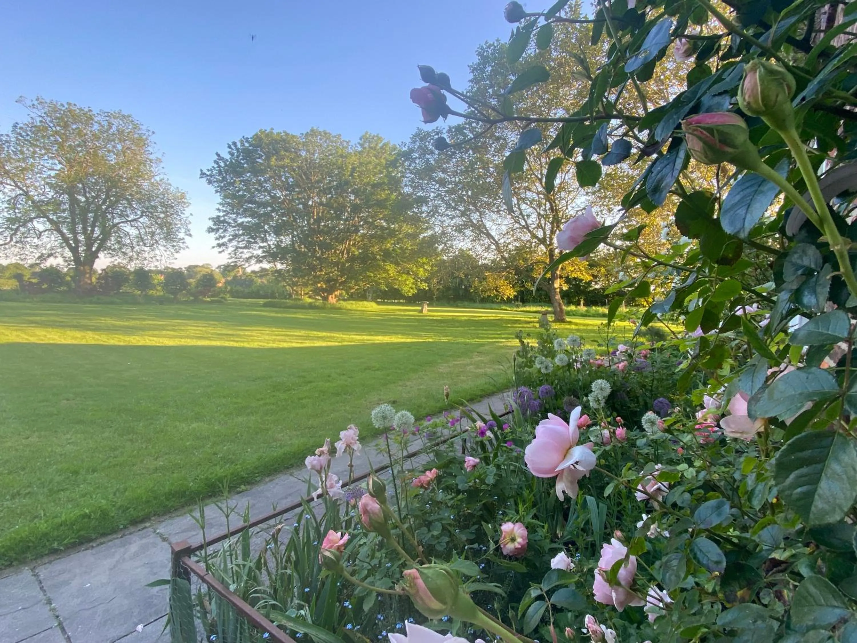 Property building in Lut's Place