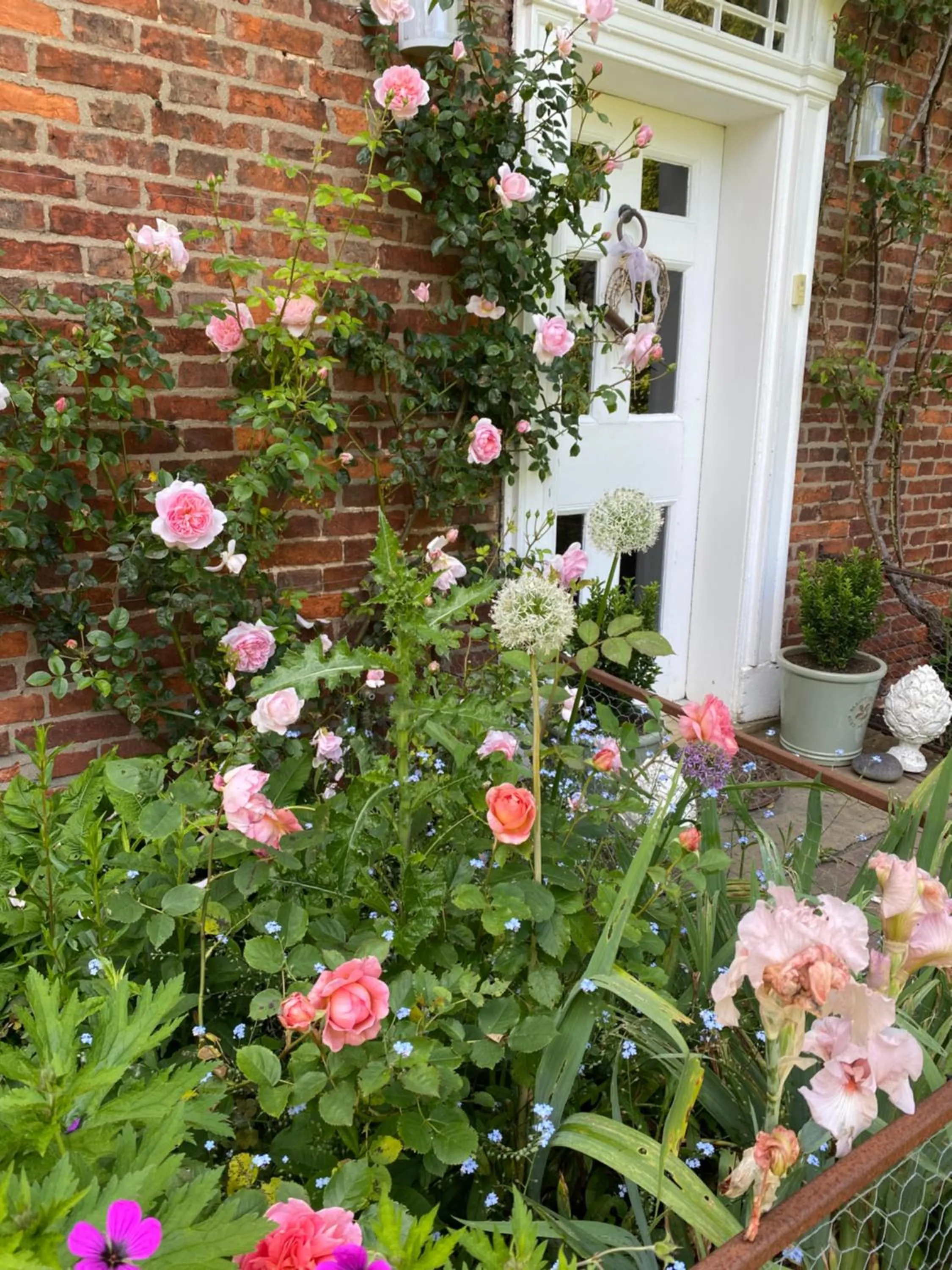 Property building in Lut's Place