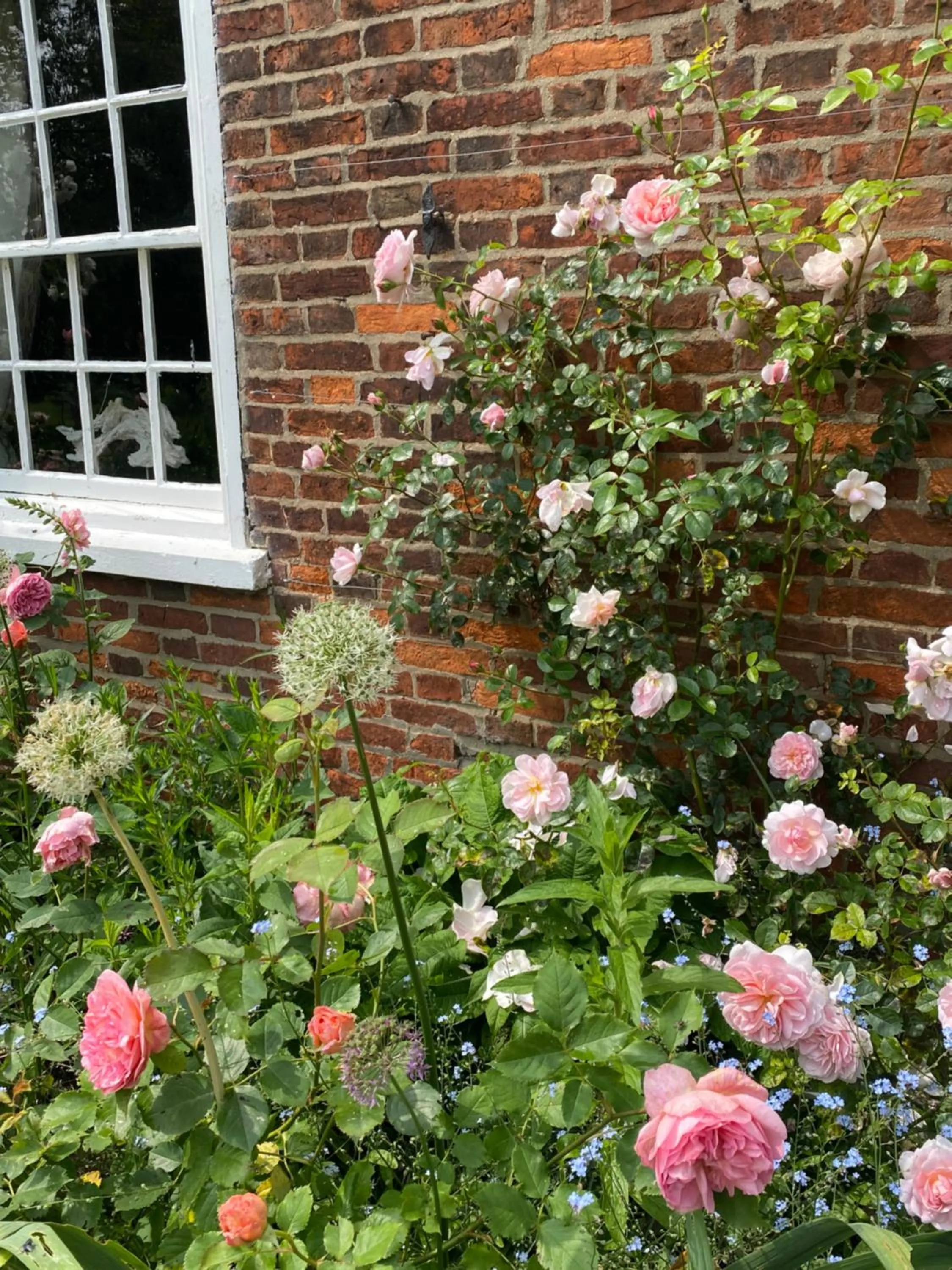 Property building in Lut's Place