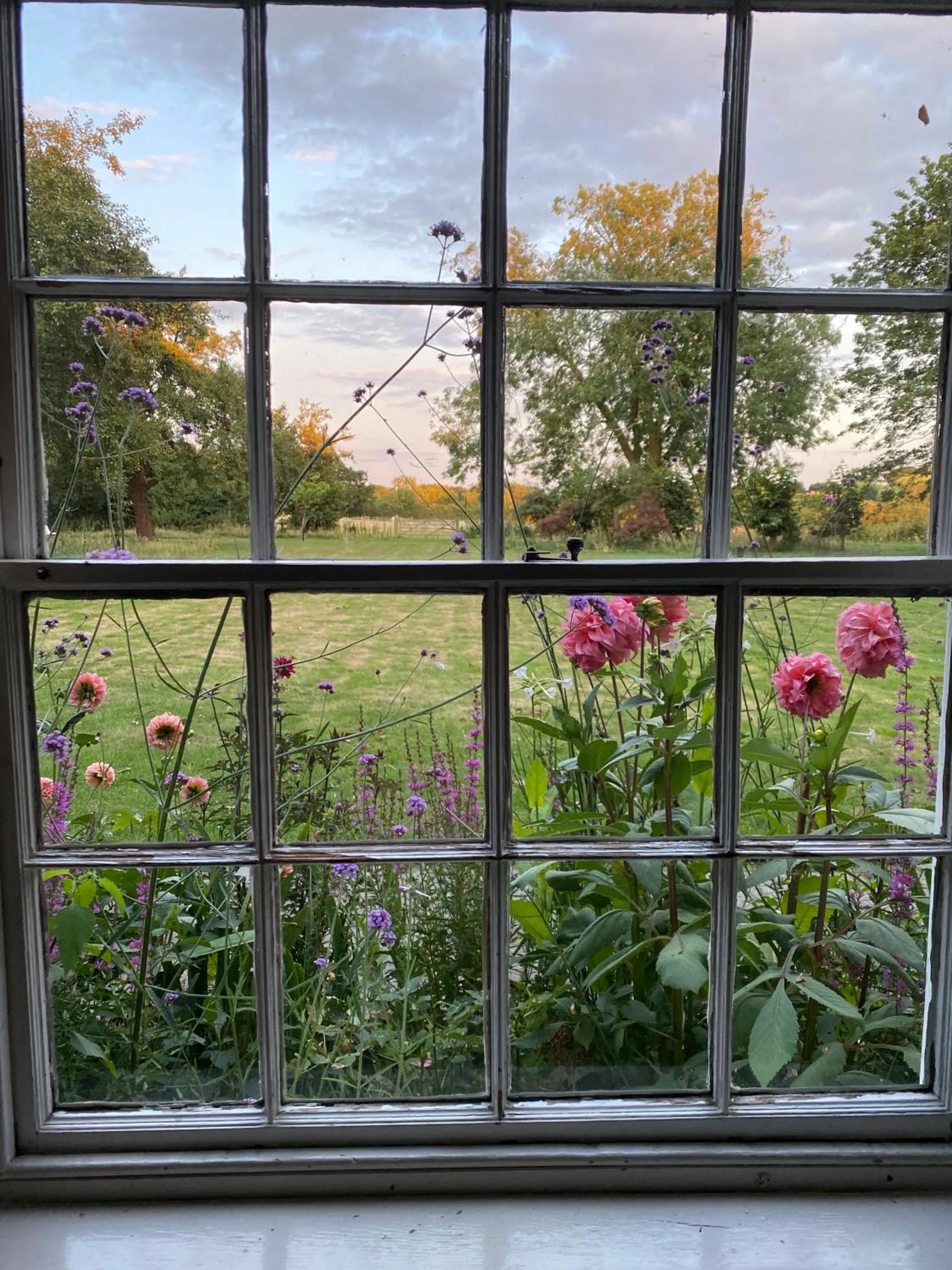 Garden view in Lut's Place