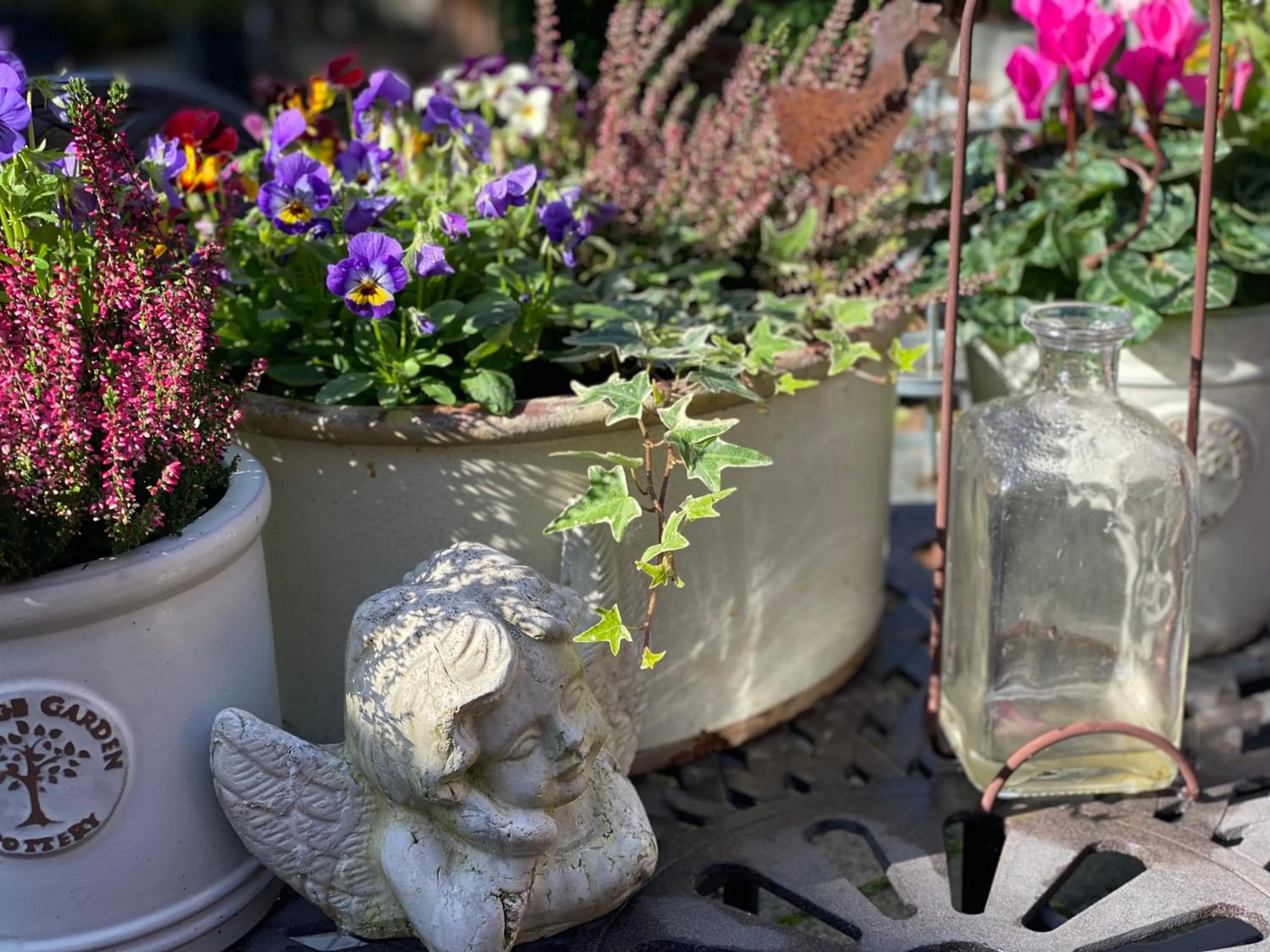 Garden in Lut's Place