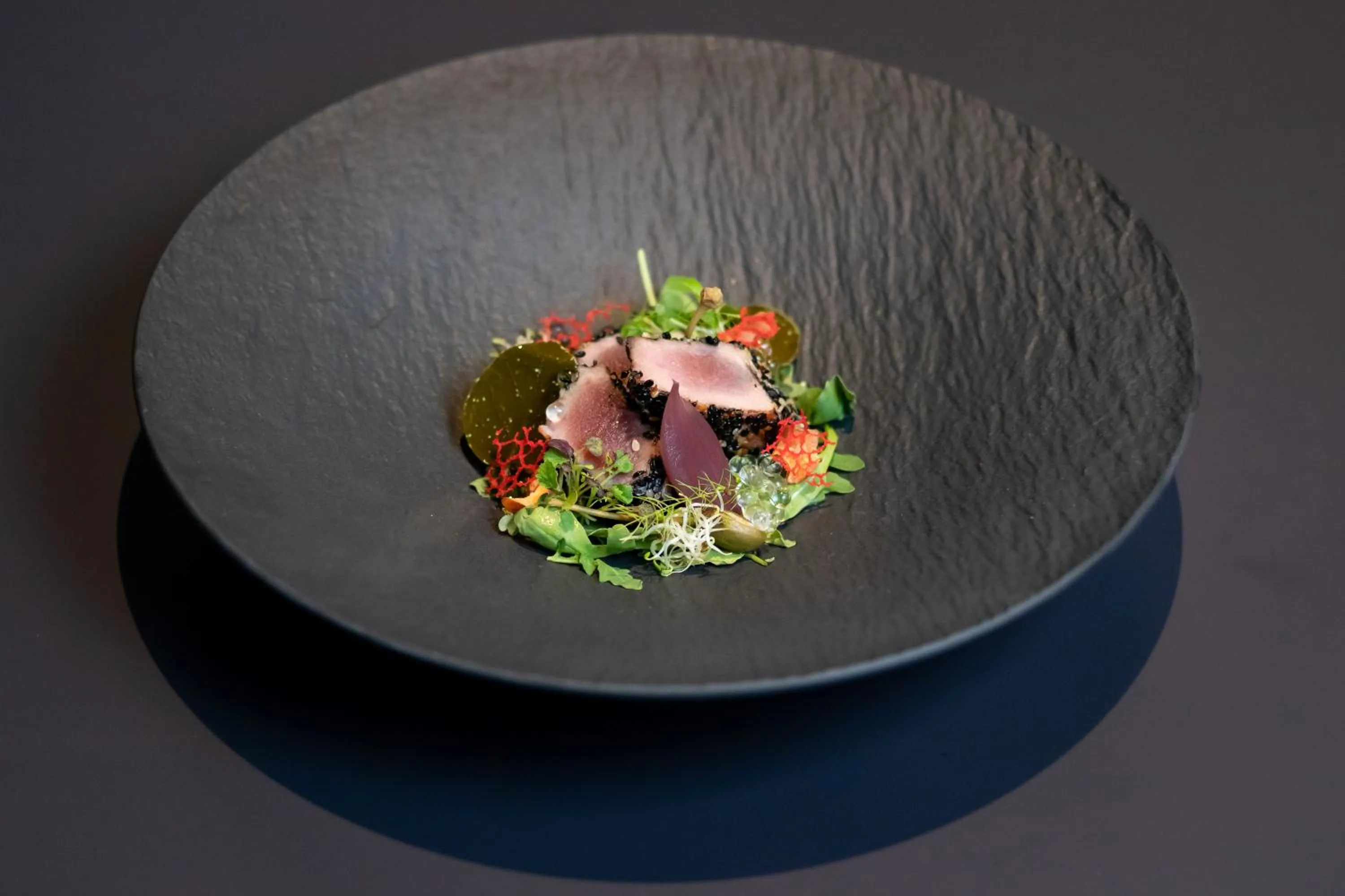 Restaurant/places to eat in Hotel Turist