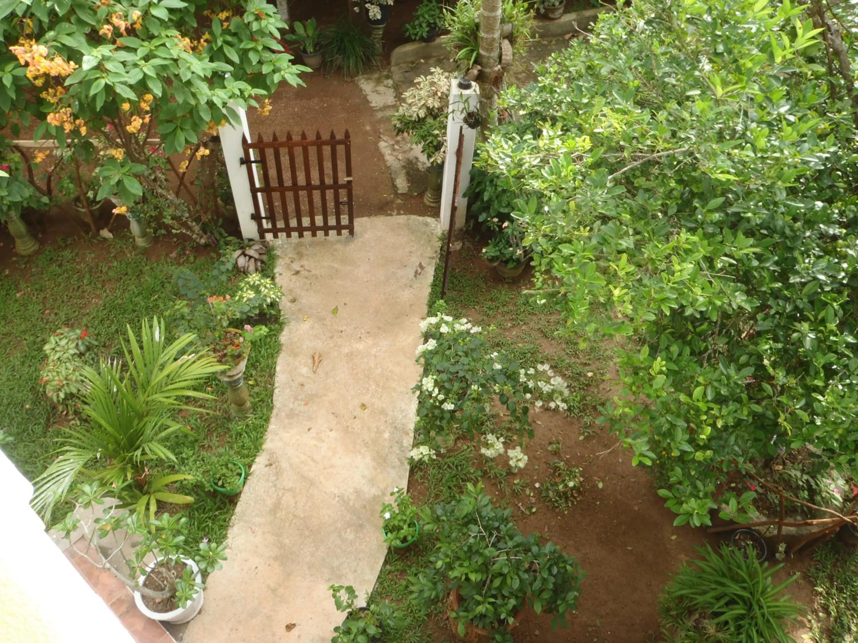 Garden in New Jaya Villa