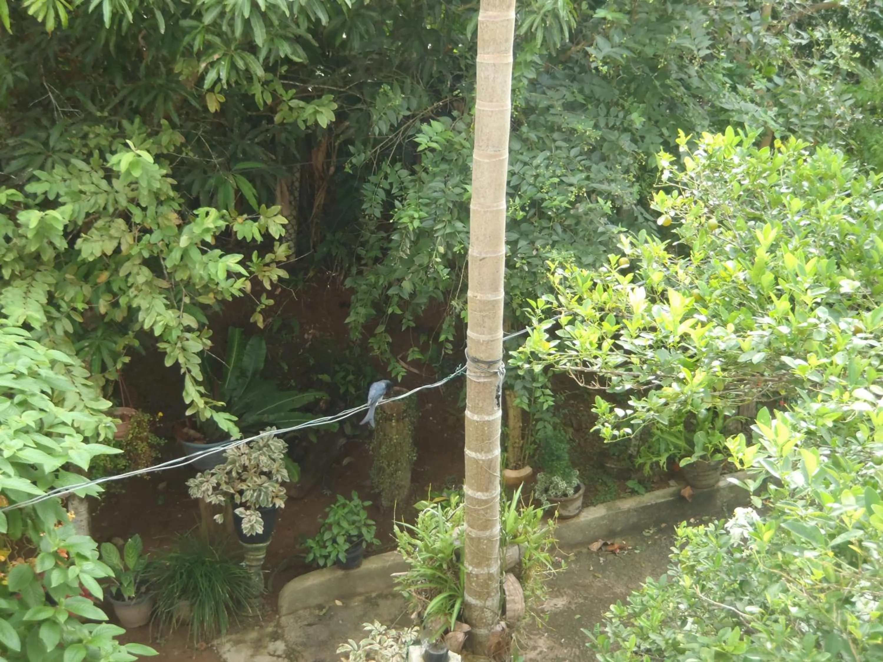 Natural landscape in New Jaya Villa