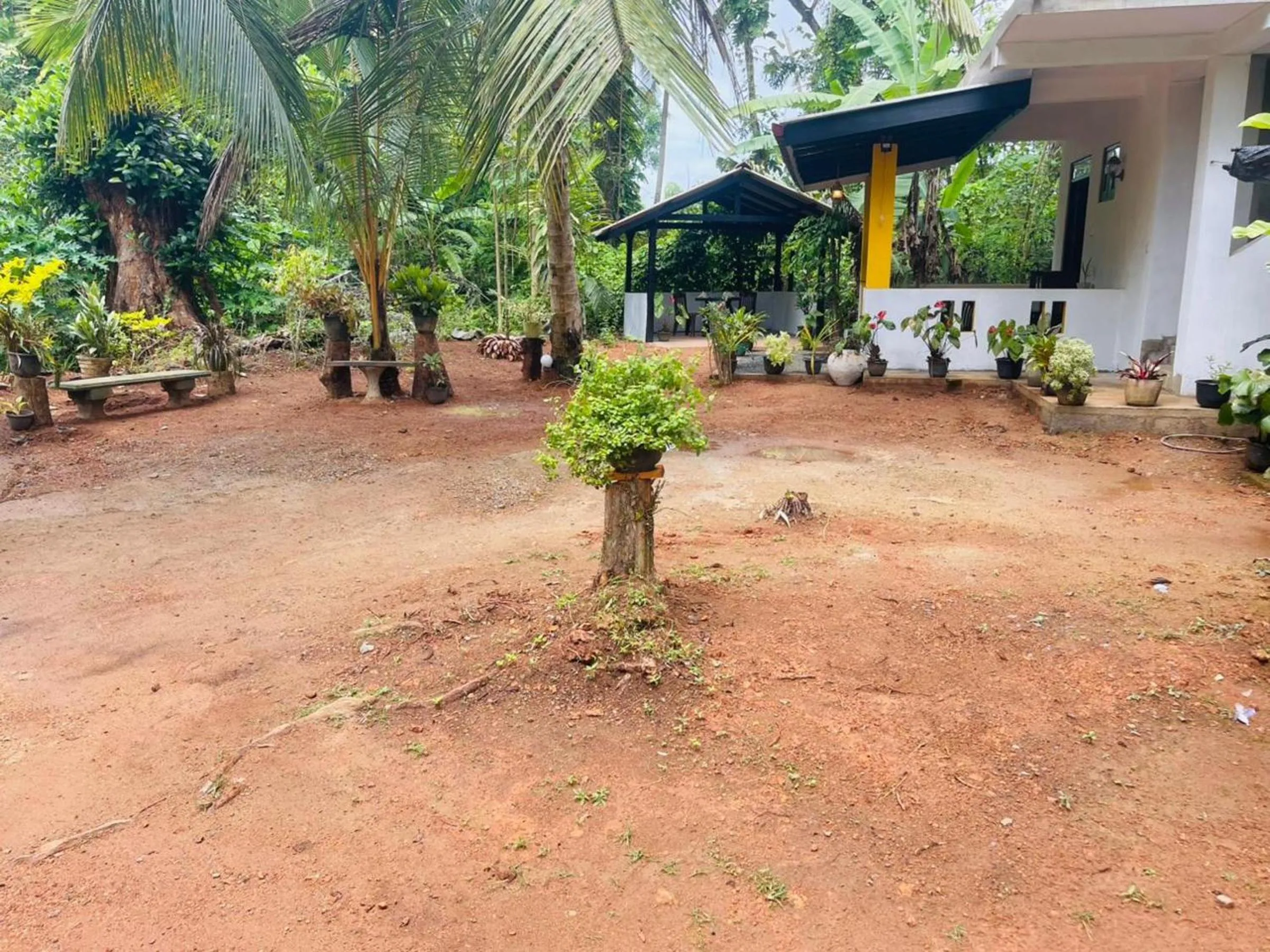 Day in New Jaya Villa