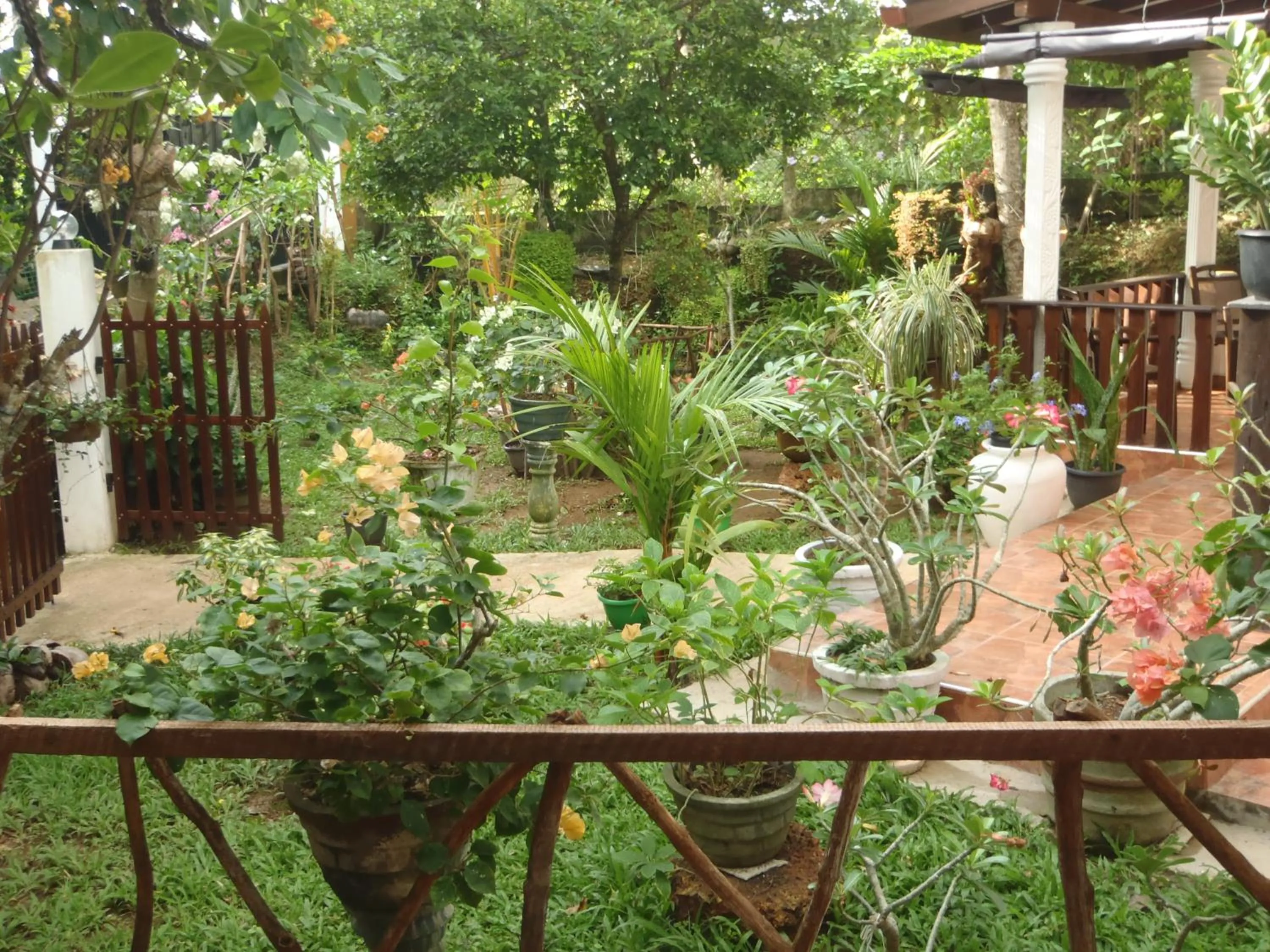 Garden in New Jaya Villa