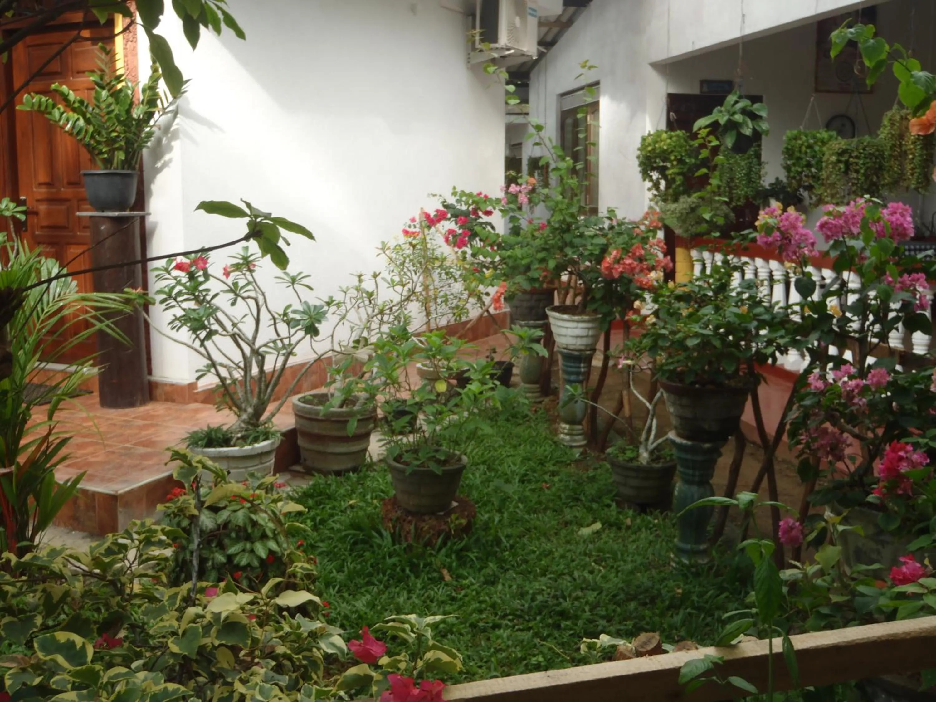 Garden in New Jaya Villa