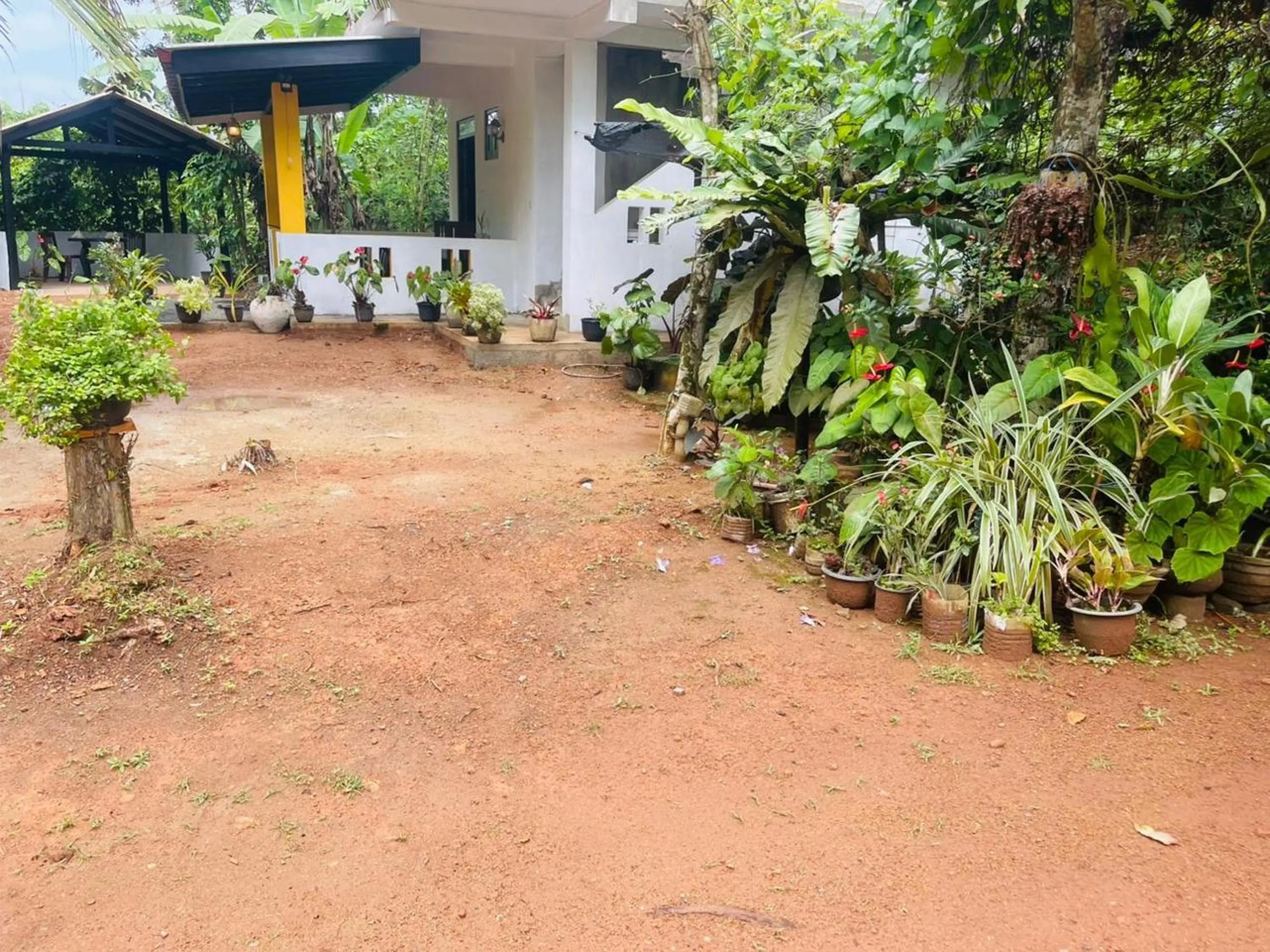Garden in New Jaya Villa