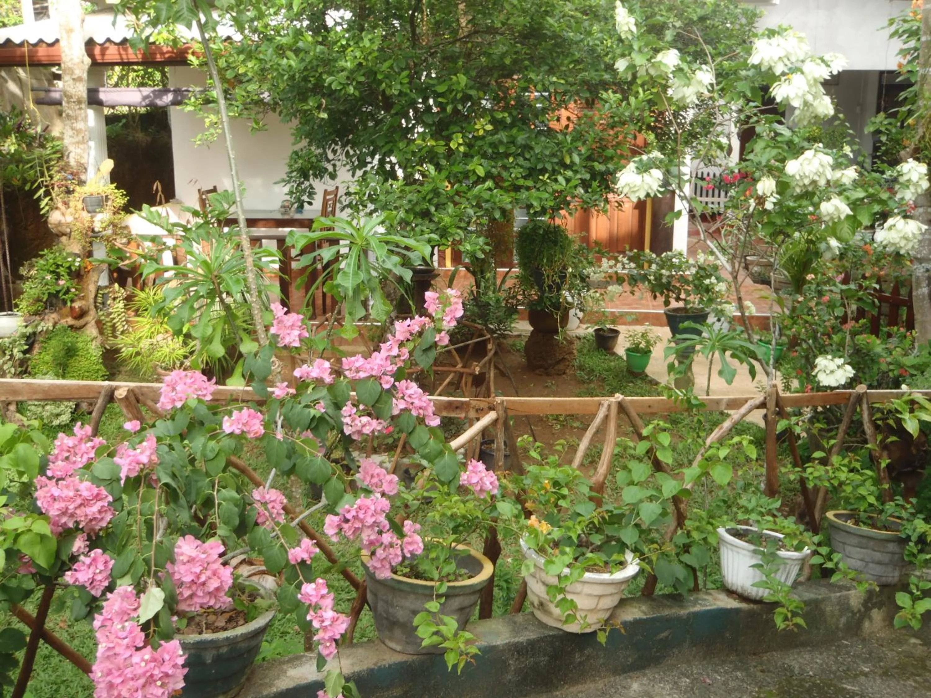 Garden in New Jaya Villa