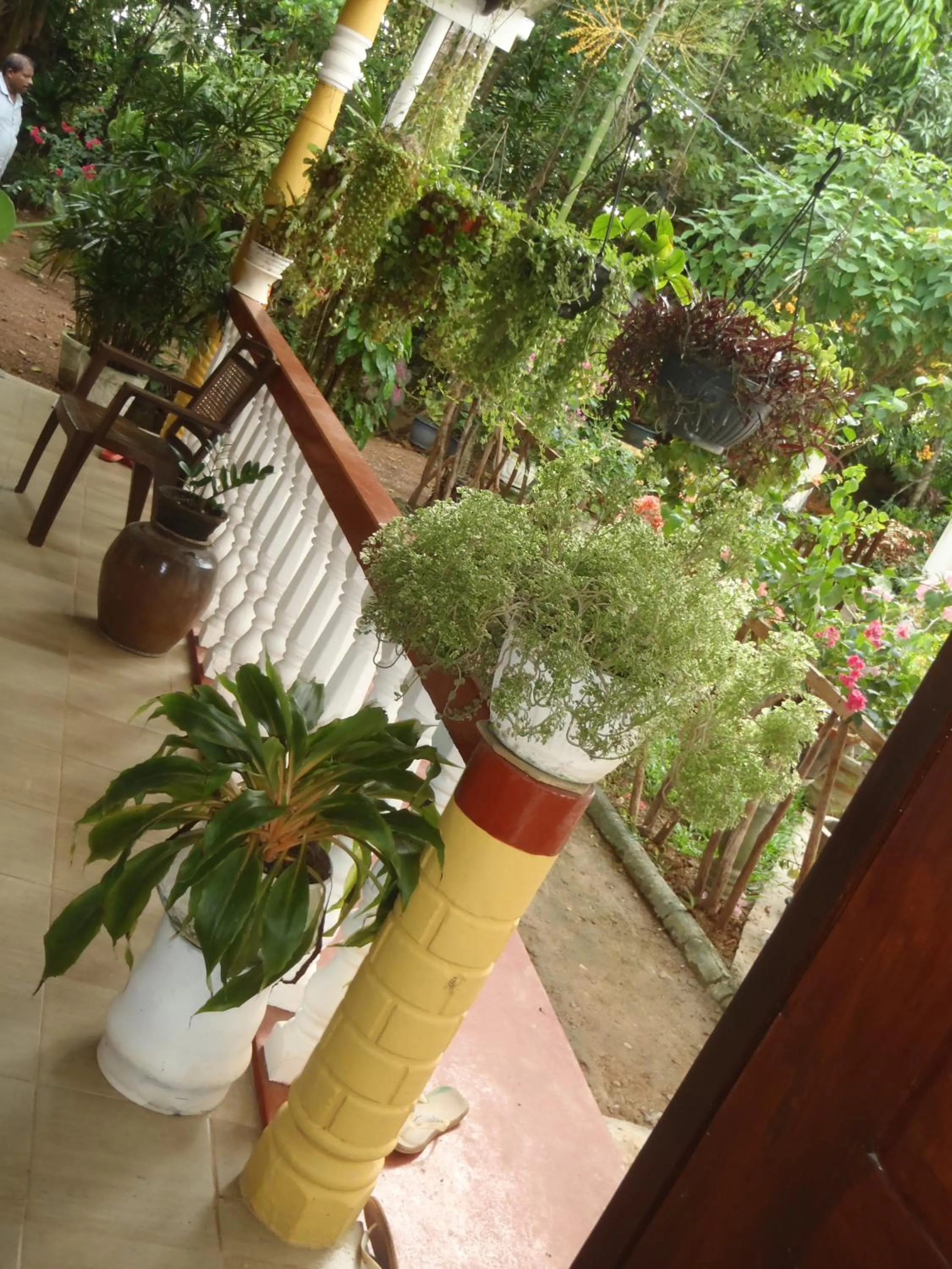 Garden in New Jaya Villa