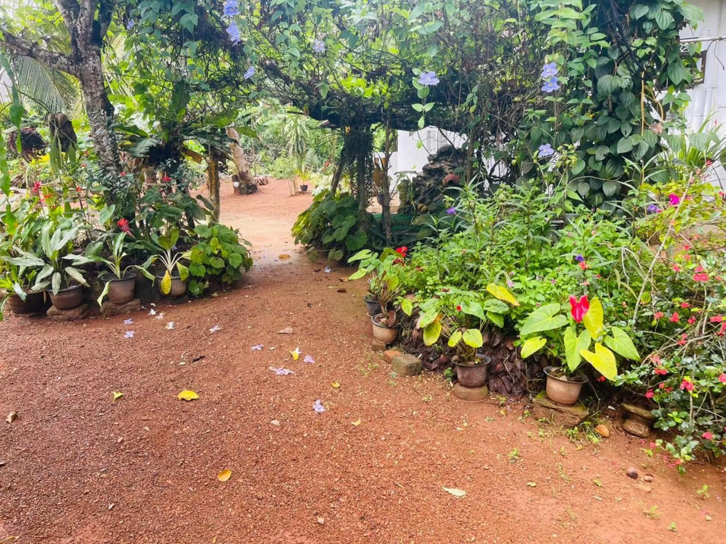 Garden in New Jaya Villa