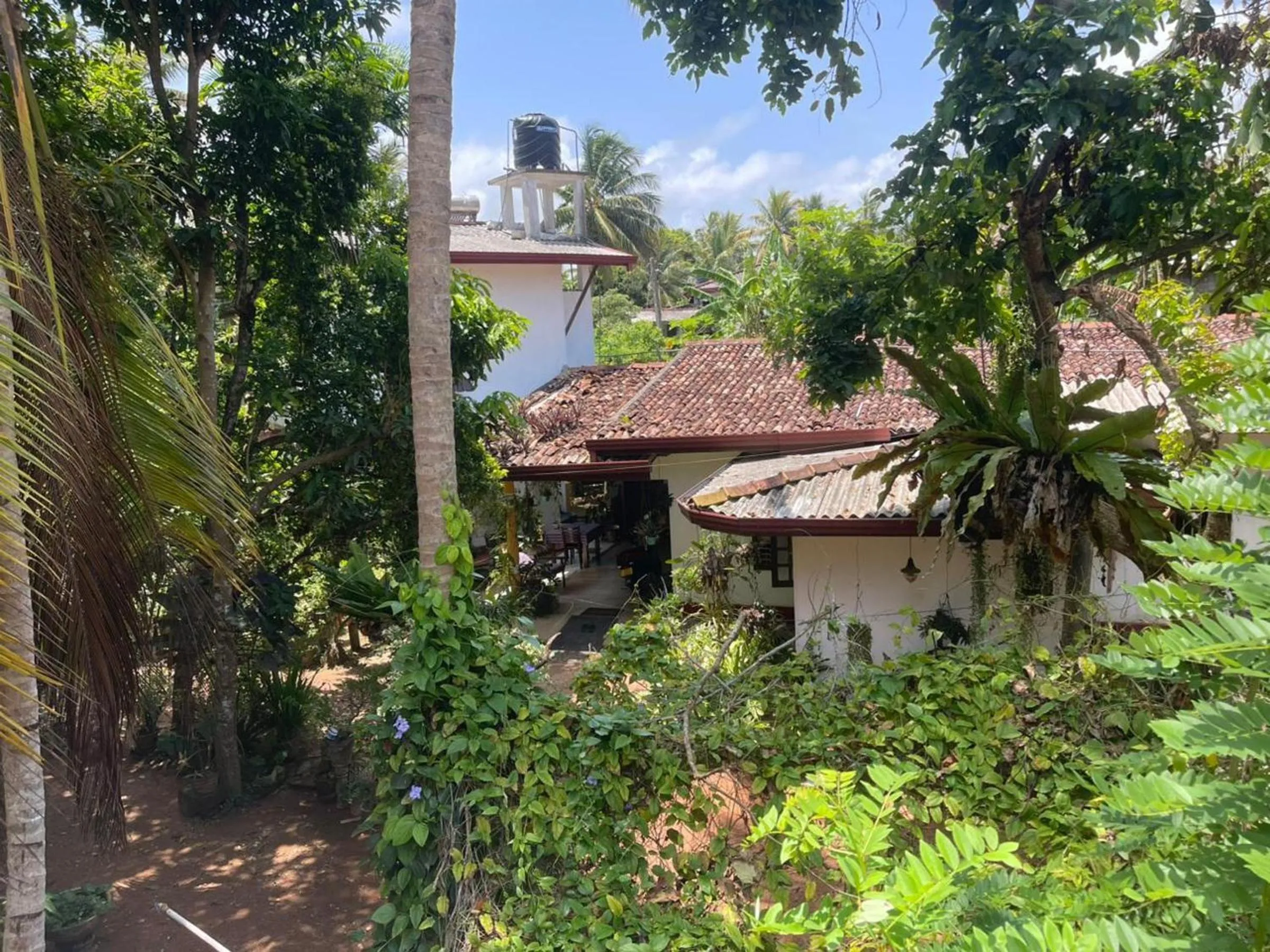 Property building in New Jaya Villa