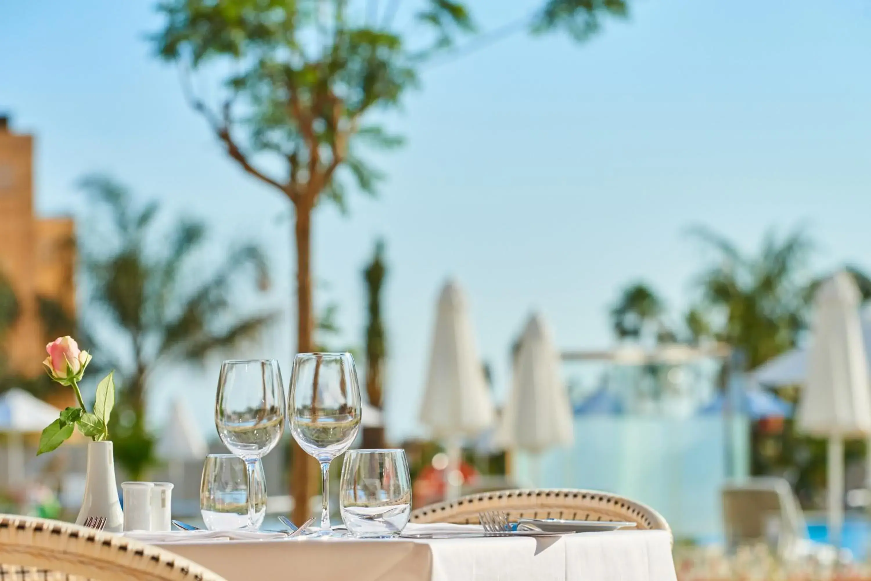 Restaurant/places to eat in Hipotels Playa de Palma Palace&Spa Restaurant/places to eat in Hipotels Playa de Palma Palace&Spa