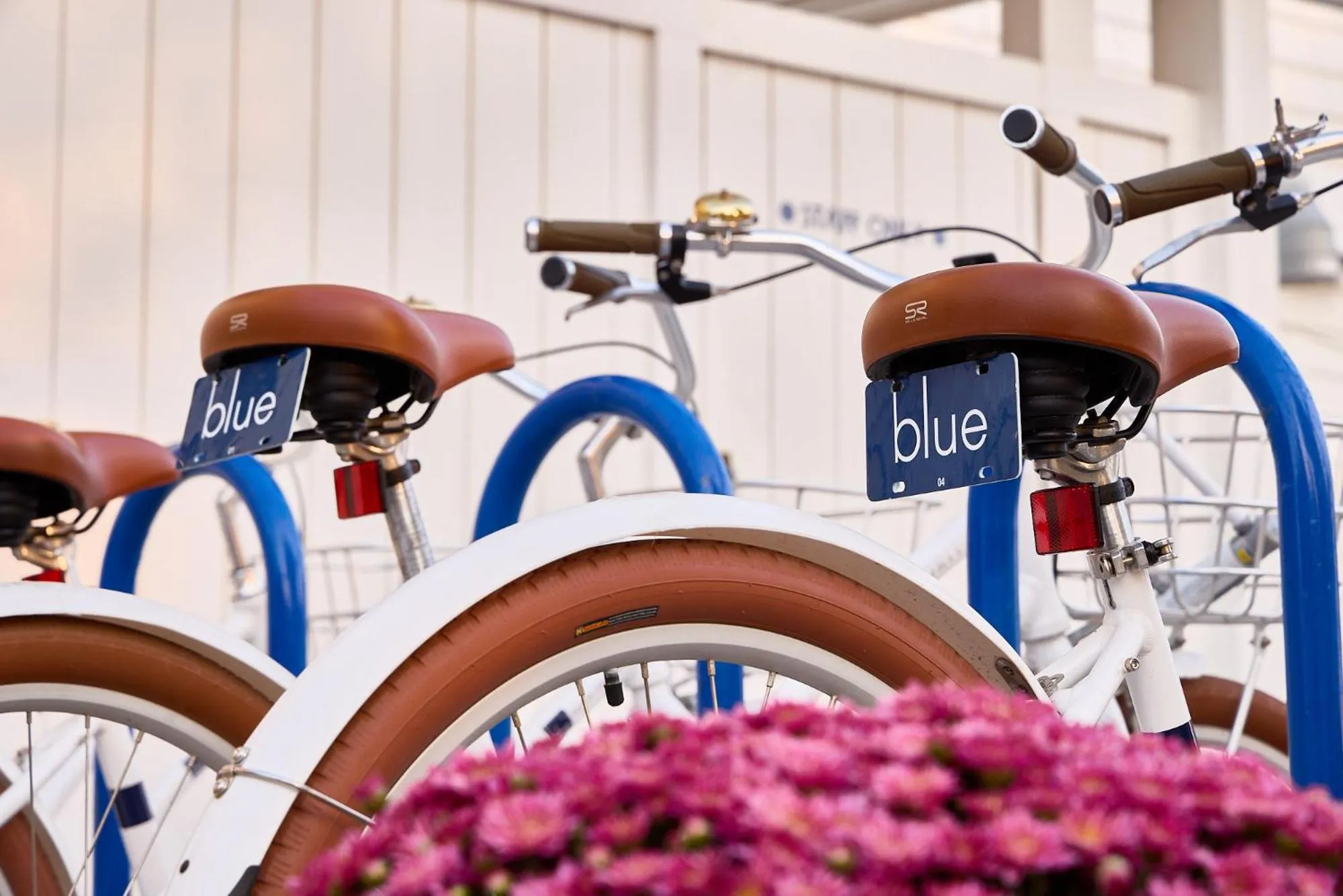 Cycling in Blue - Inn on the Beach