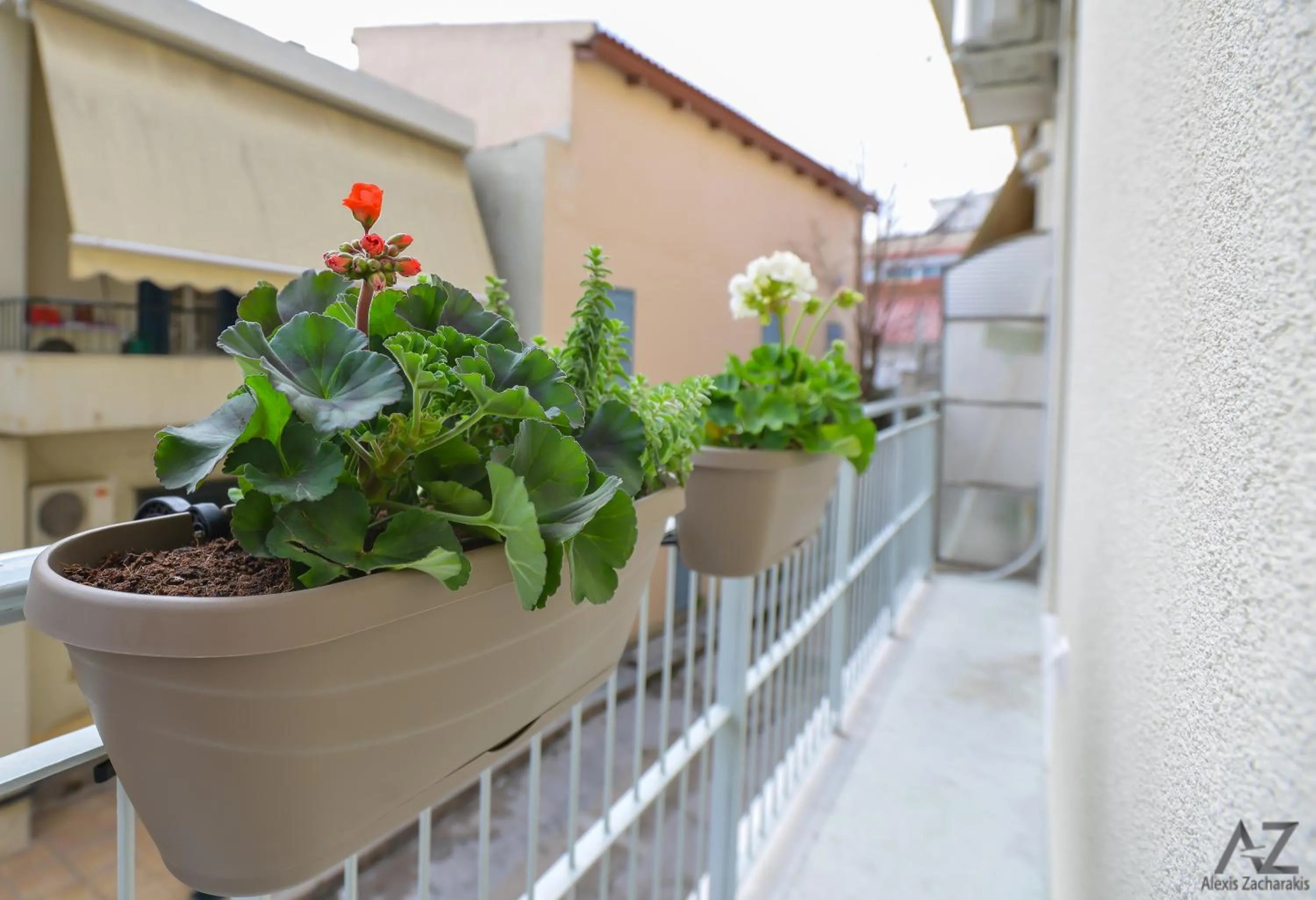 Quiet street view in Phaedra Apartment