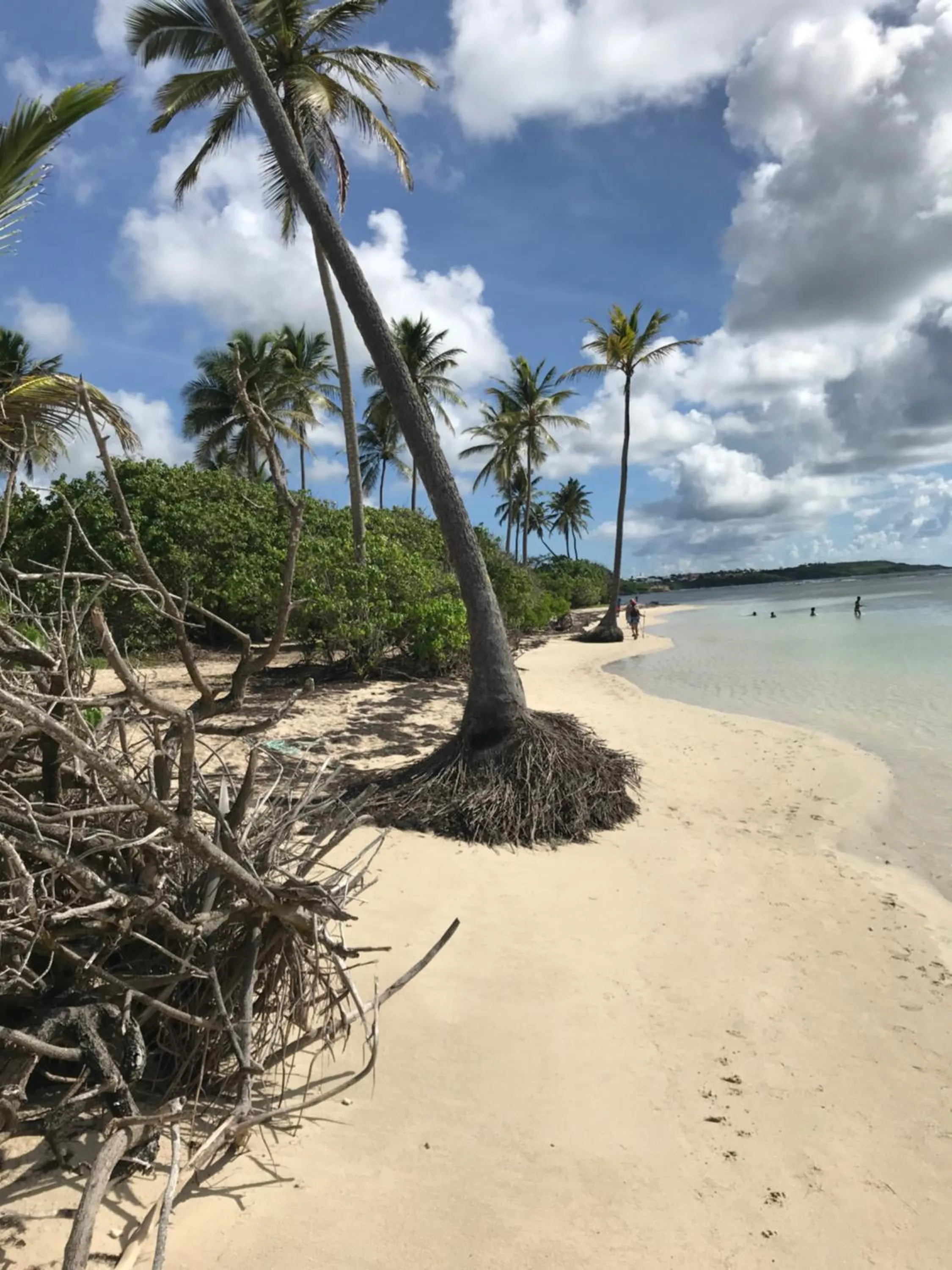 Beach in Eden Blue