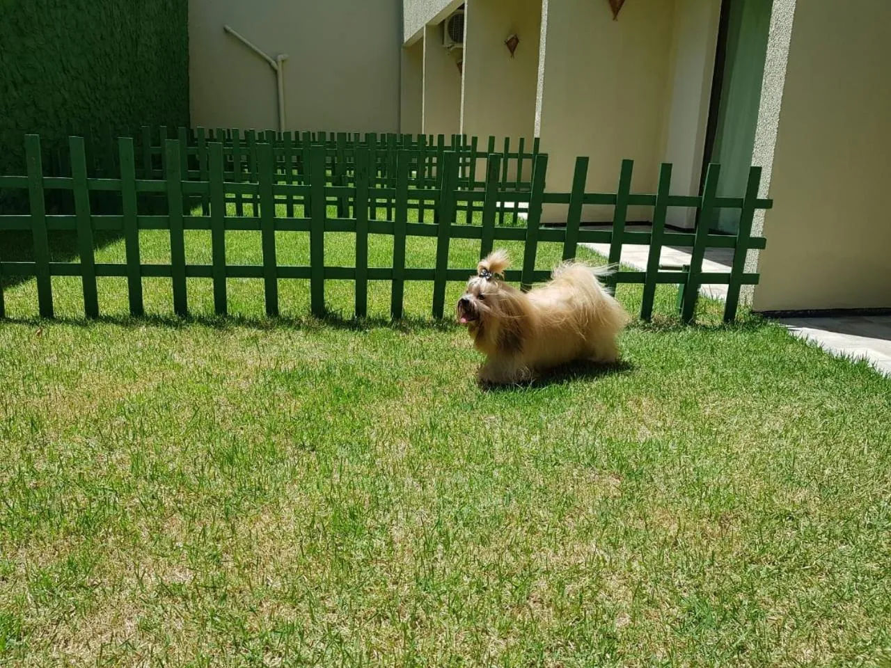 Pets in Hotel Santuário das Águias by Nobile