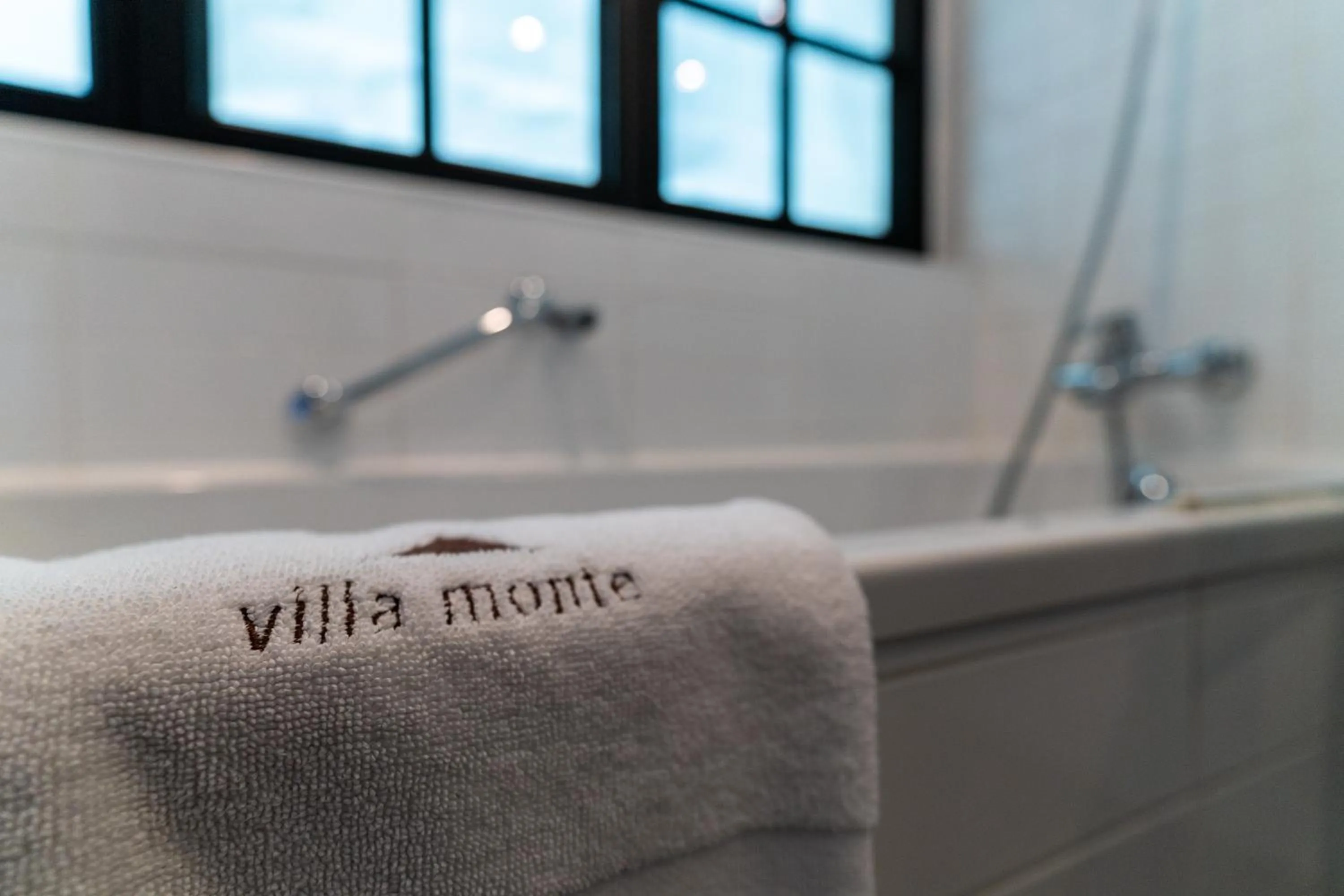 Property logo or sign in Hotel Villa Monte