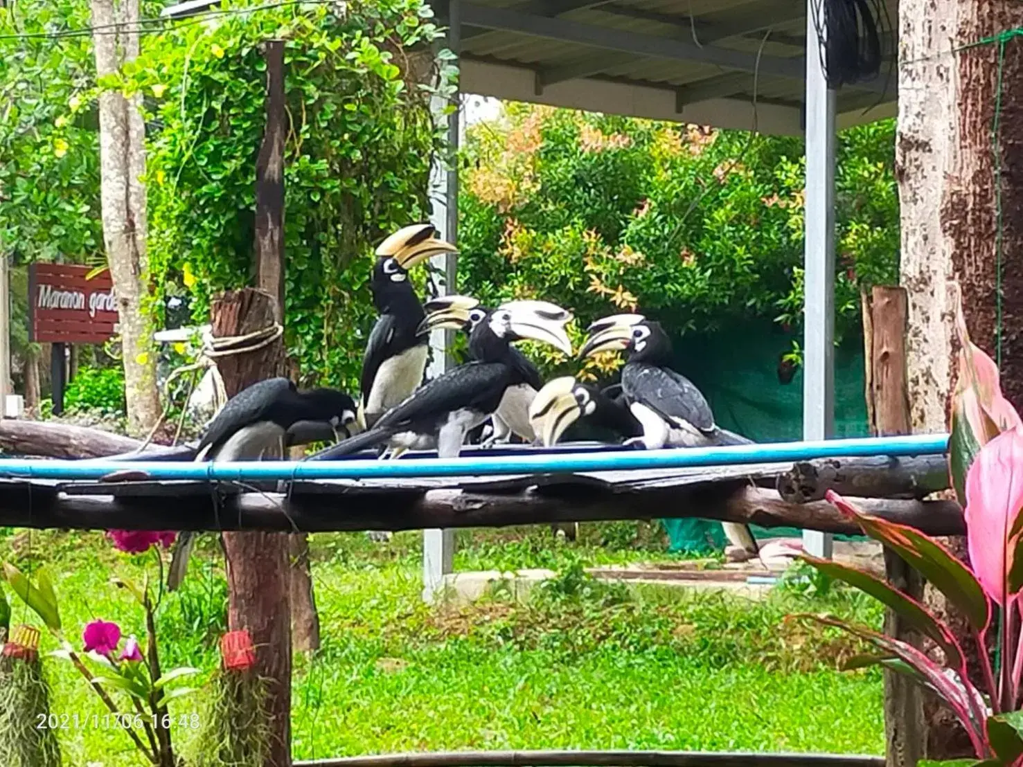 Bungalow with Fan in Eco Bungalow Bungalow with Fan in Eco Bungalow
