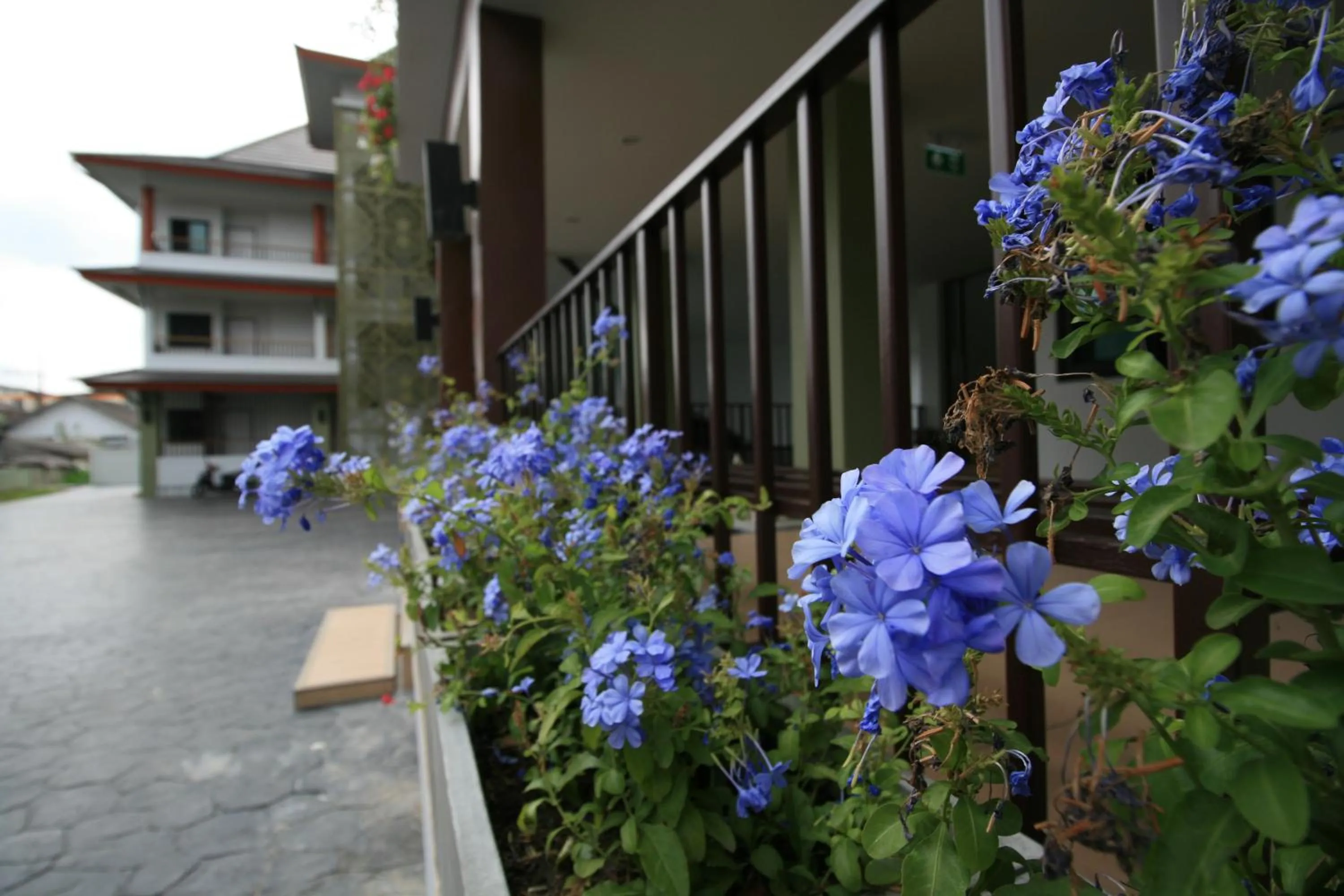 Garden in Sirimunta Hotel Chiang Rai Suite & Residence