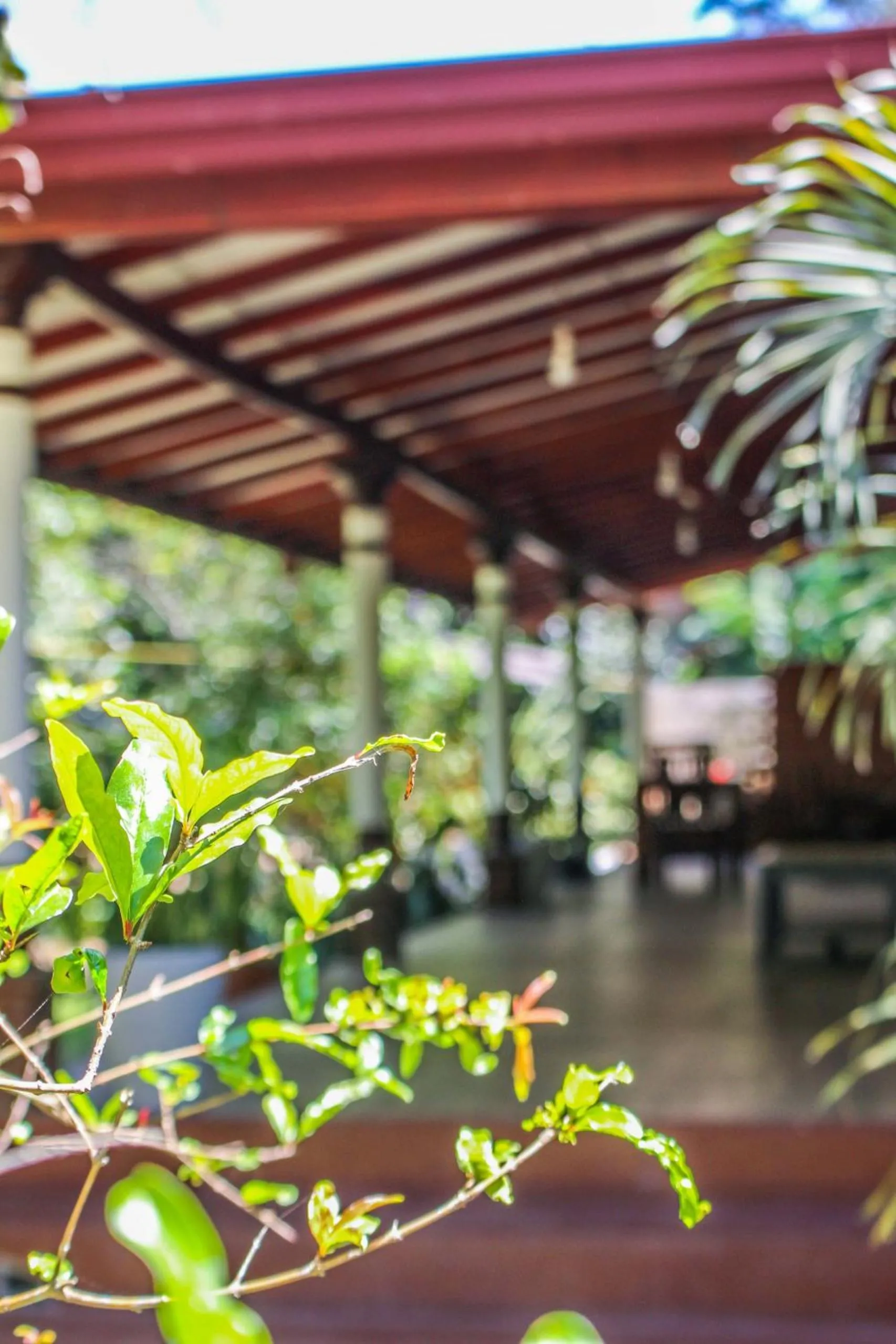 Patio in Lavender Homestay