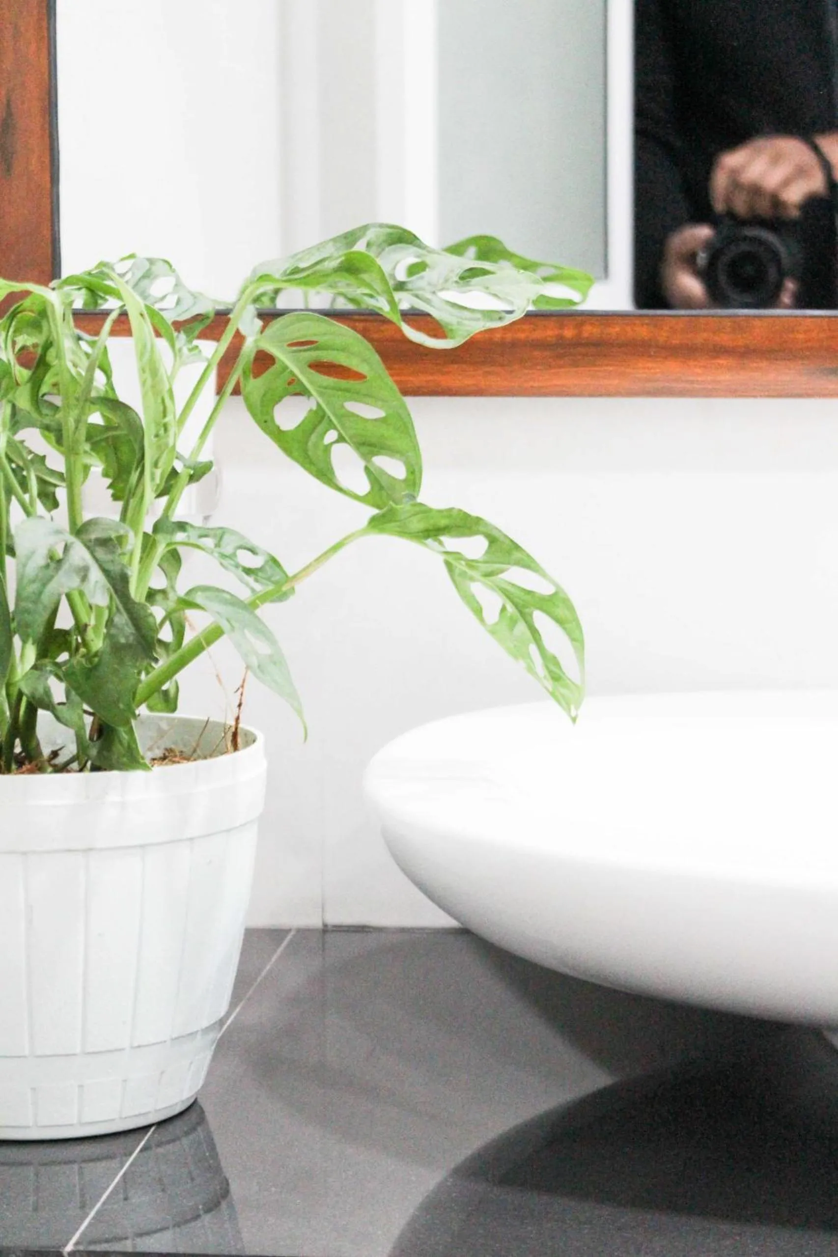 Bathroom in Lavender Homestay