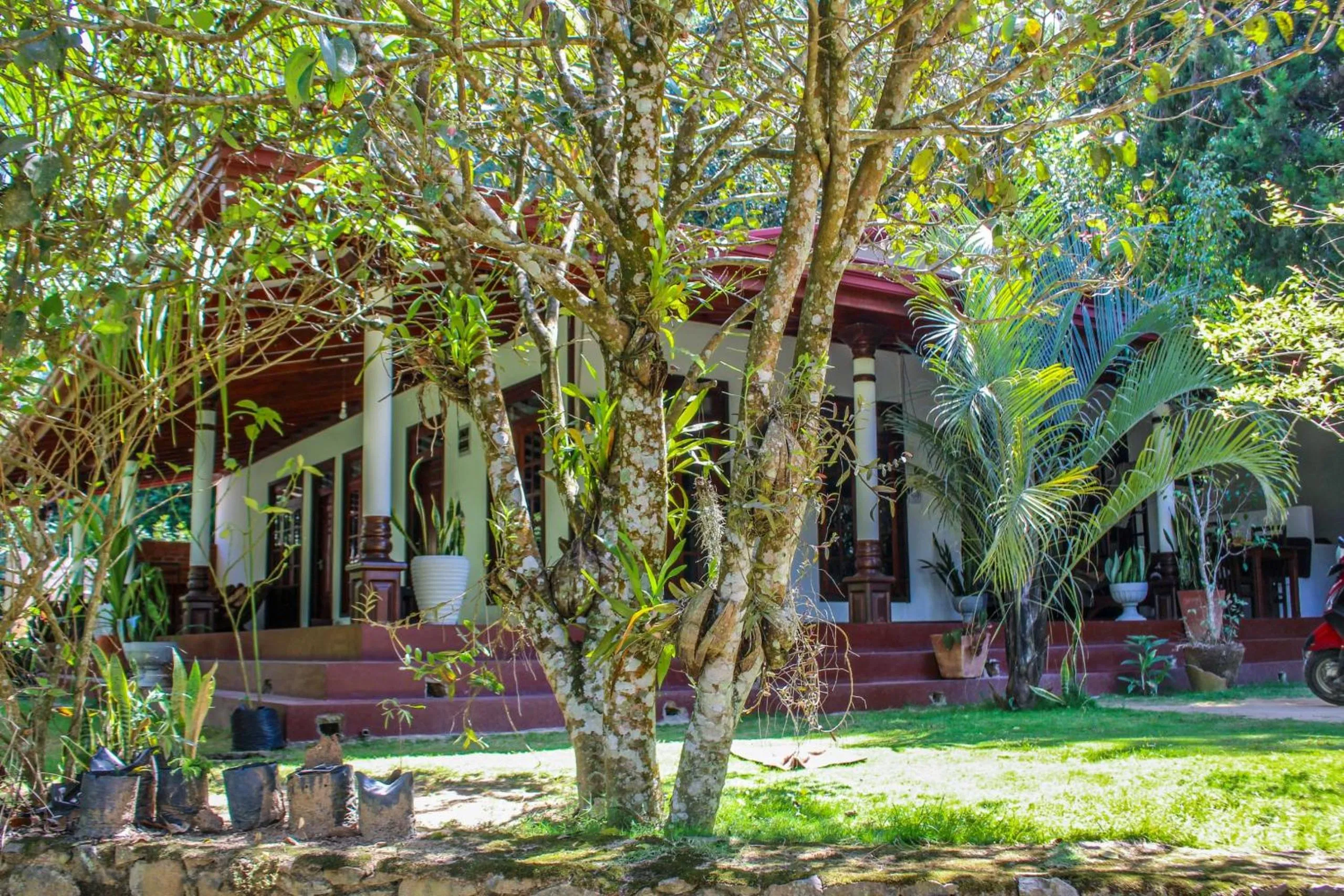 Property building in Lavender Homestay