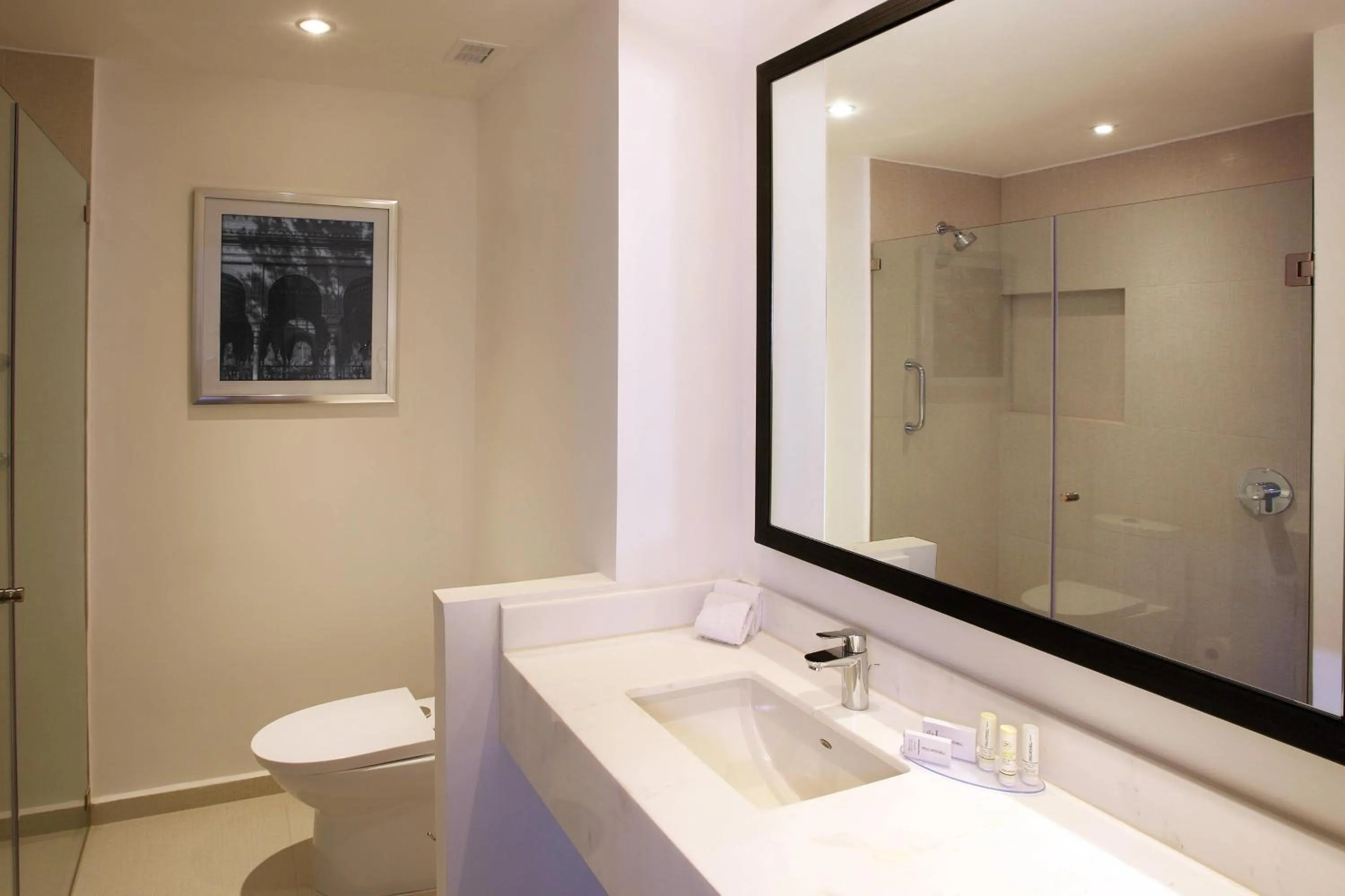 Bathroom in Fairfield Inn & Suites by Marriott Mexico City Vallejo