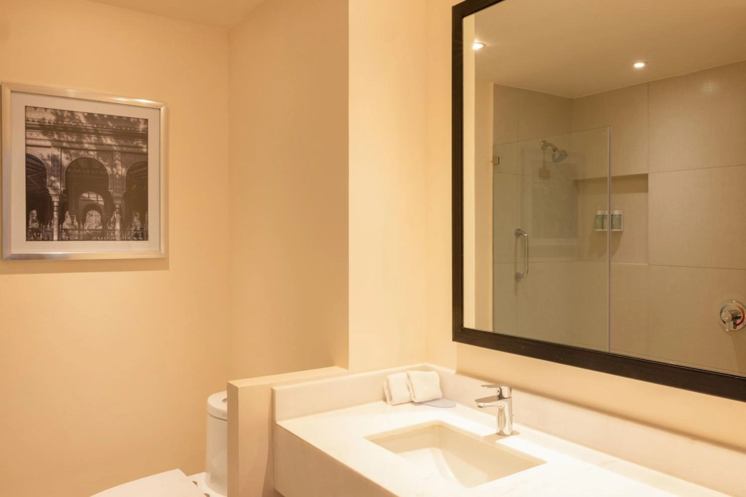 Bathroom in Fairfield Inn & Suites by Marriott Mexico City Vallejo